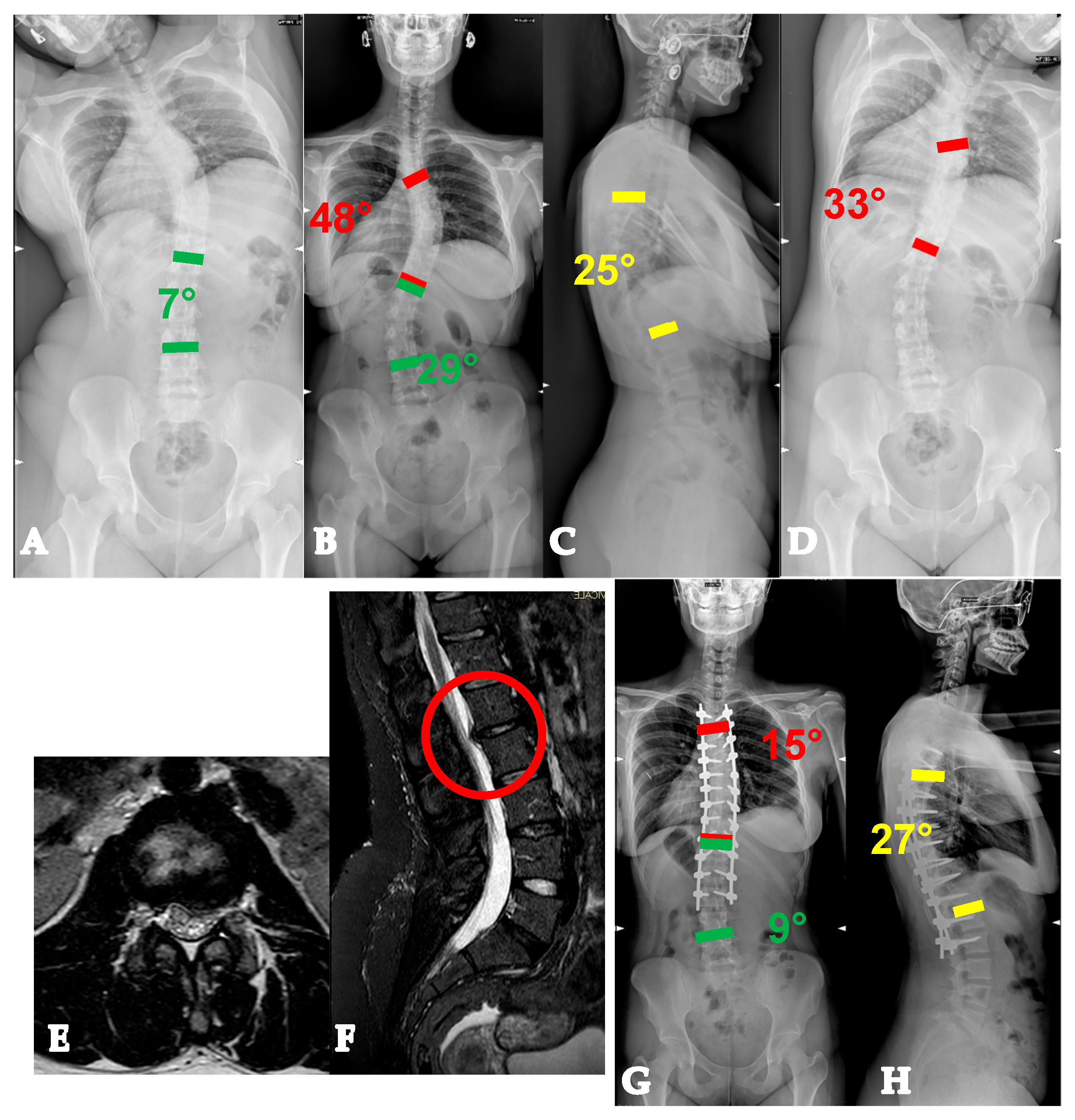 Healthcare 13 02418 g002 Healthcare 13 02418 g002