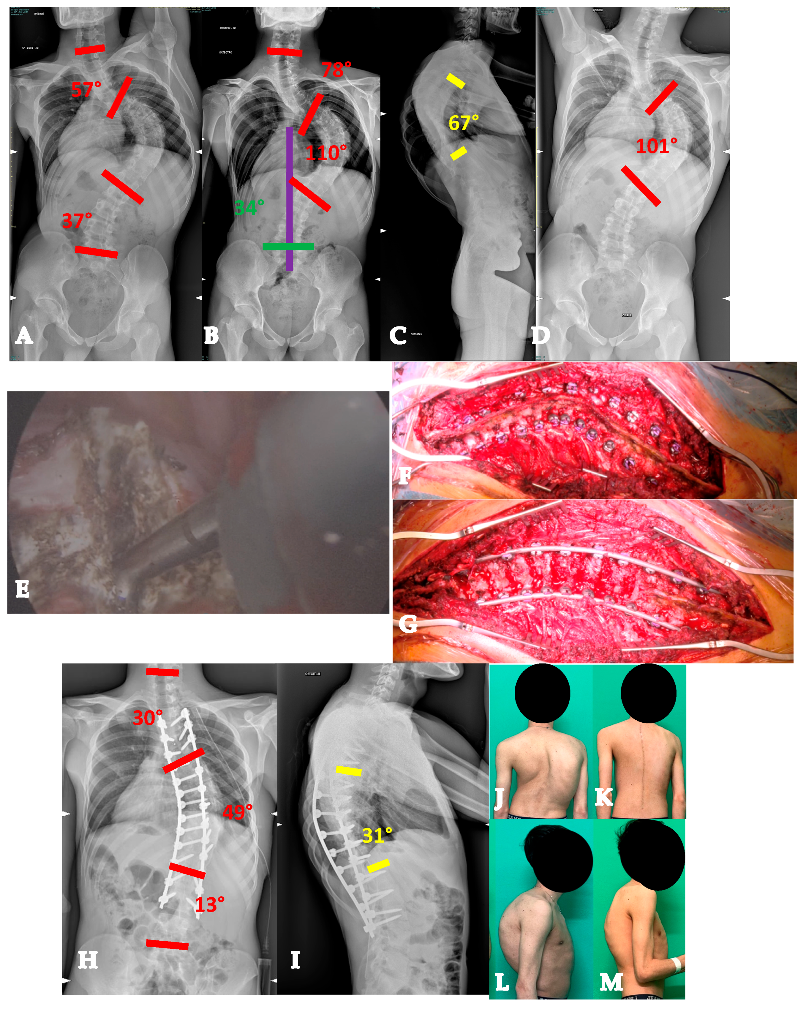Healthcare 13 02418 g004 Healthcare 13 02418 g004