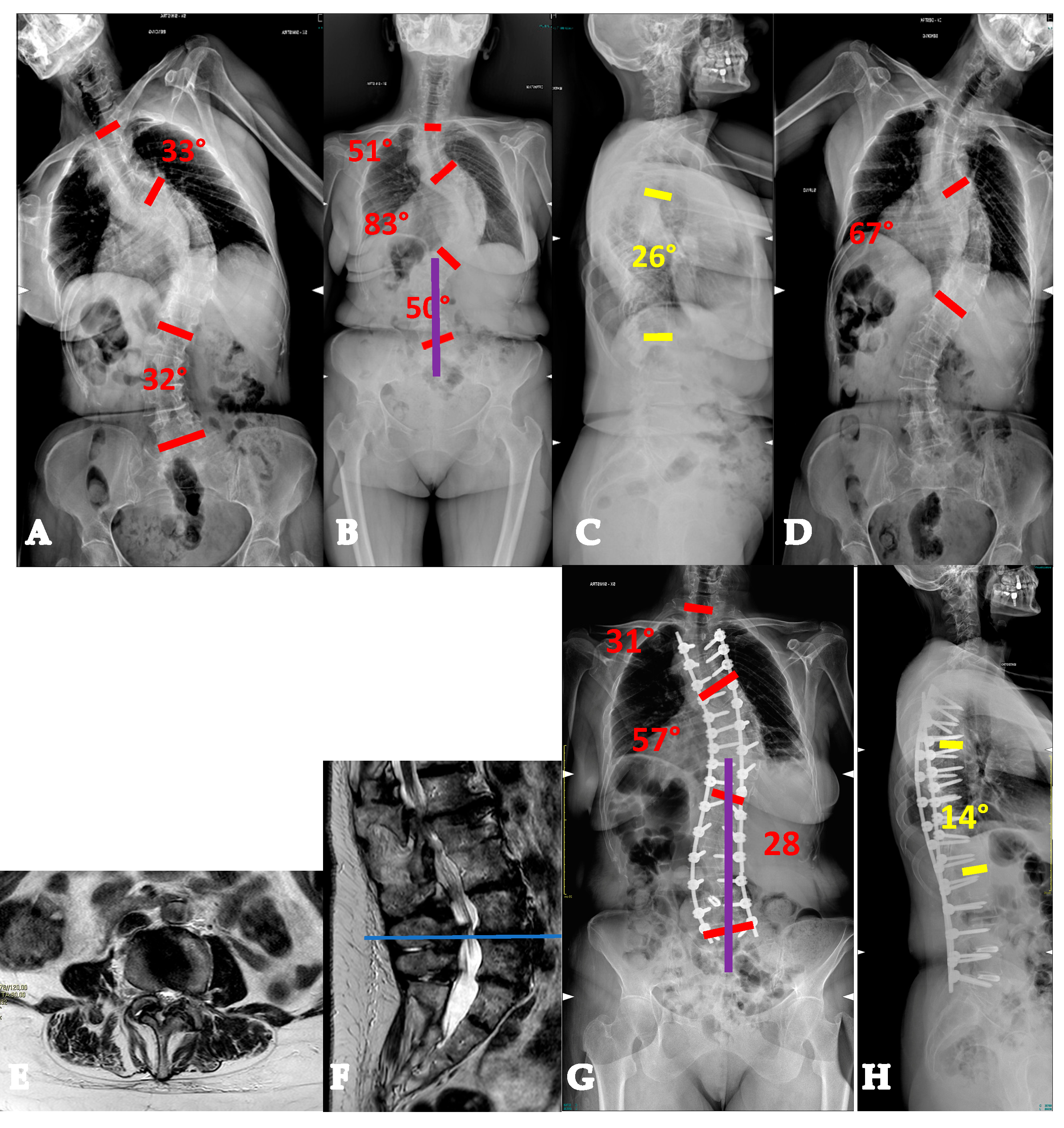 Healthcare 13 02418 g007 Healthcare 13 02418 g007