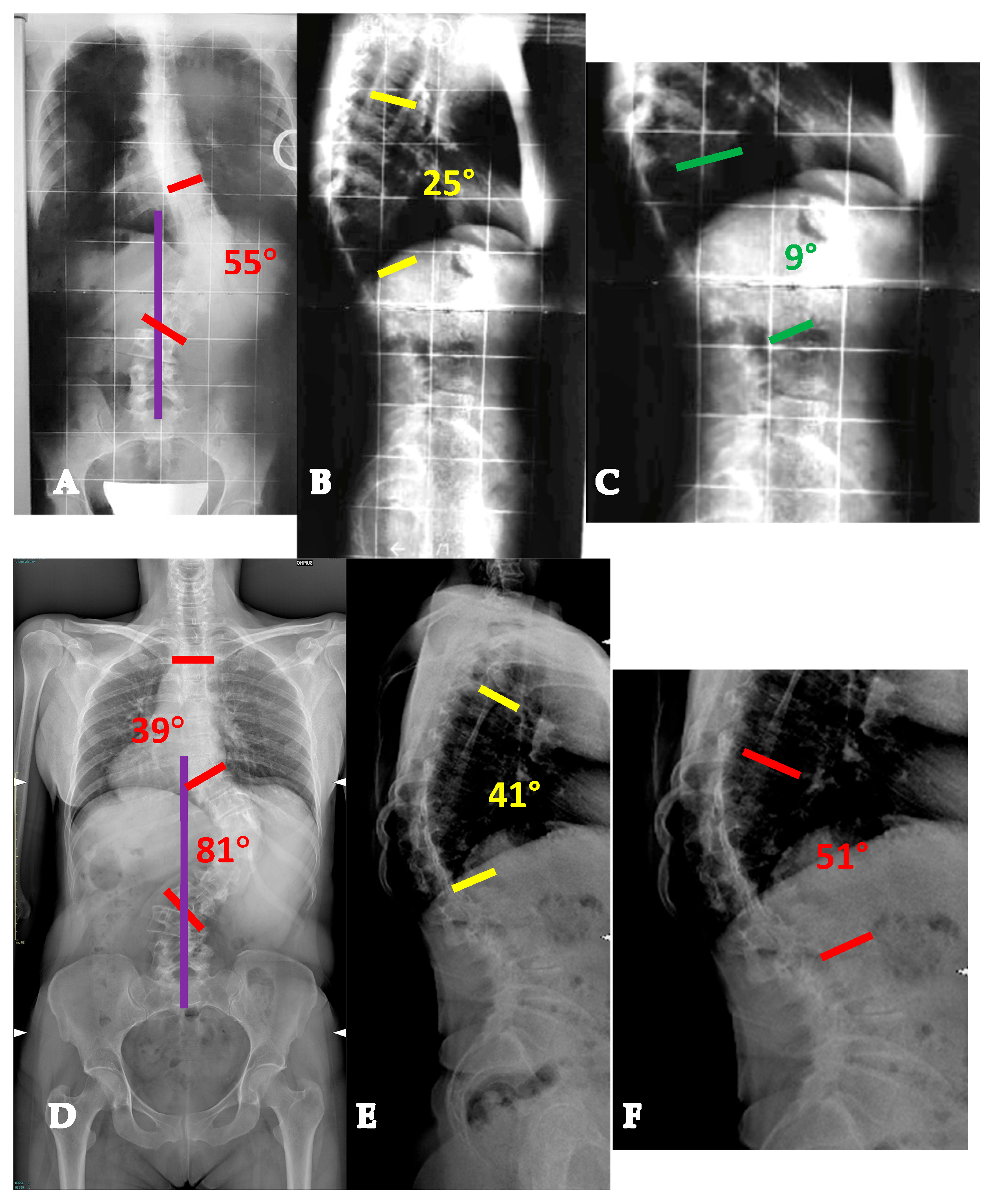 Healthcare 13 02418 g008 Healthcare 13 02418 g008