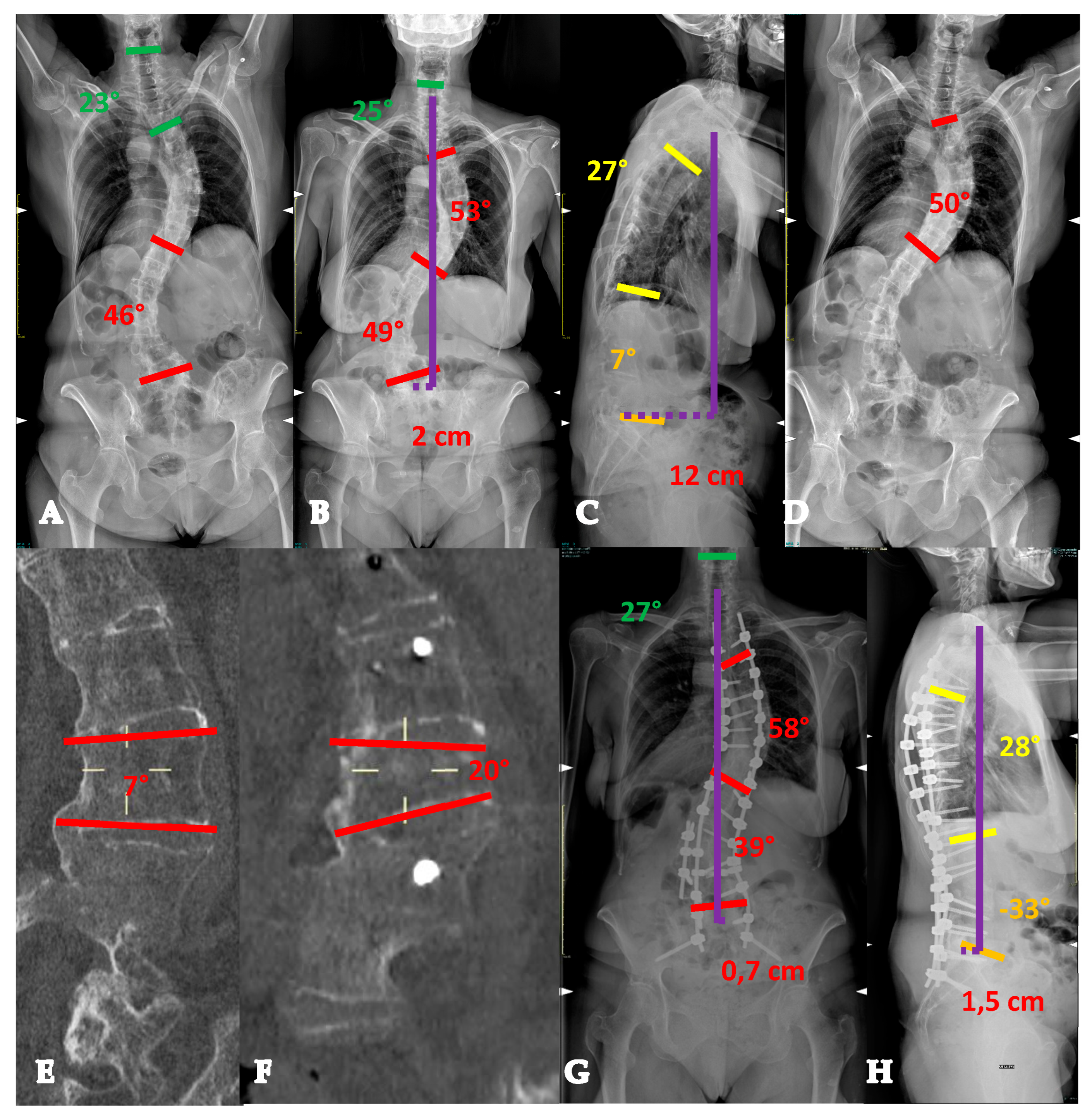 Healthcare 13 02418 g009 Healthcare 13 02418 g009