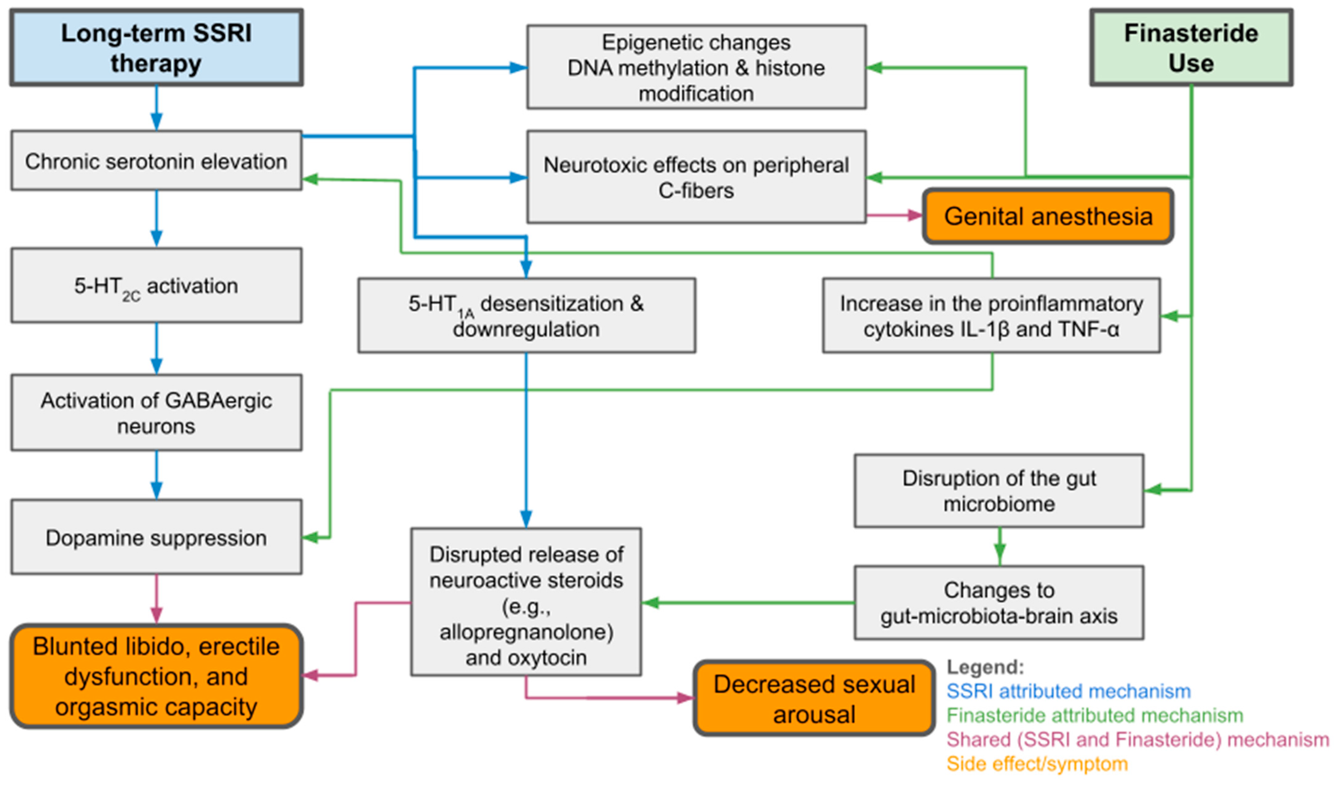 Healthcare 13 02433 g001