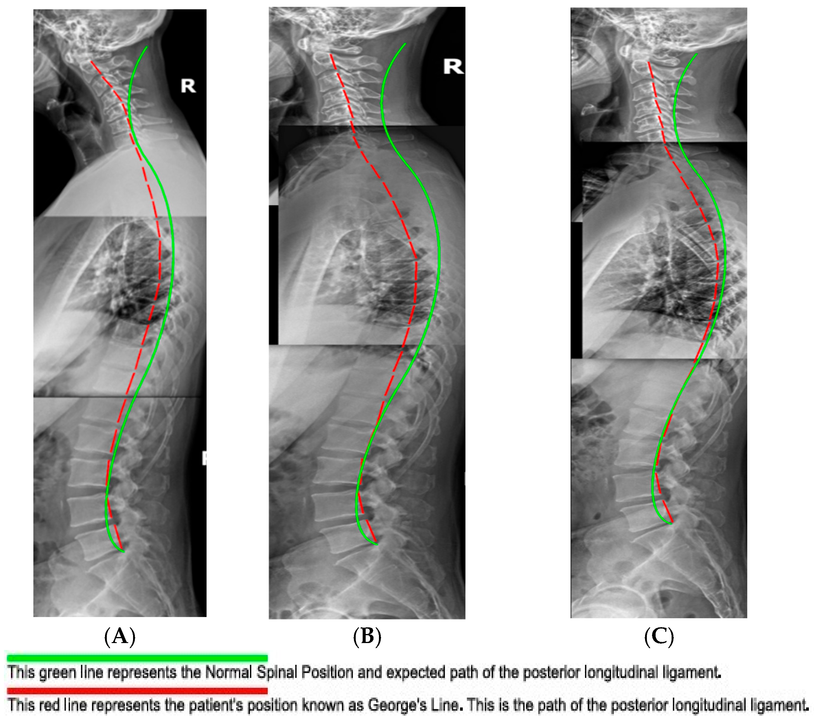 Healthcare 13 02459 g005