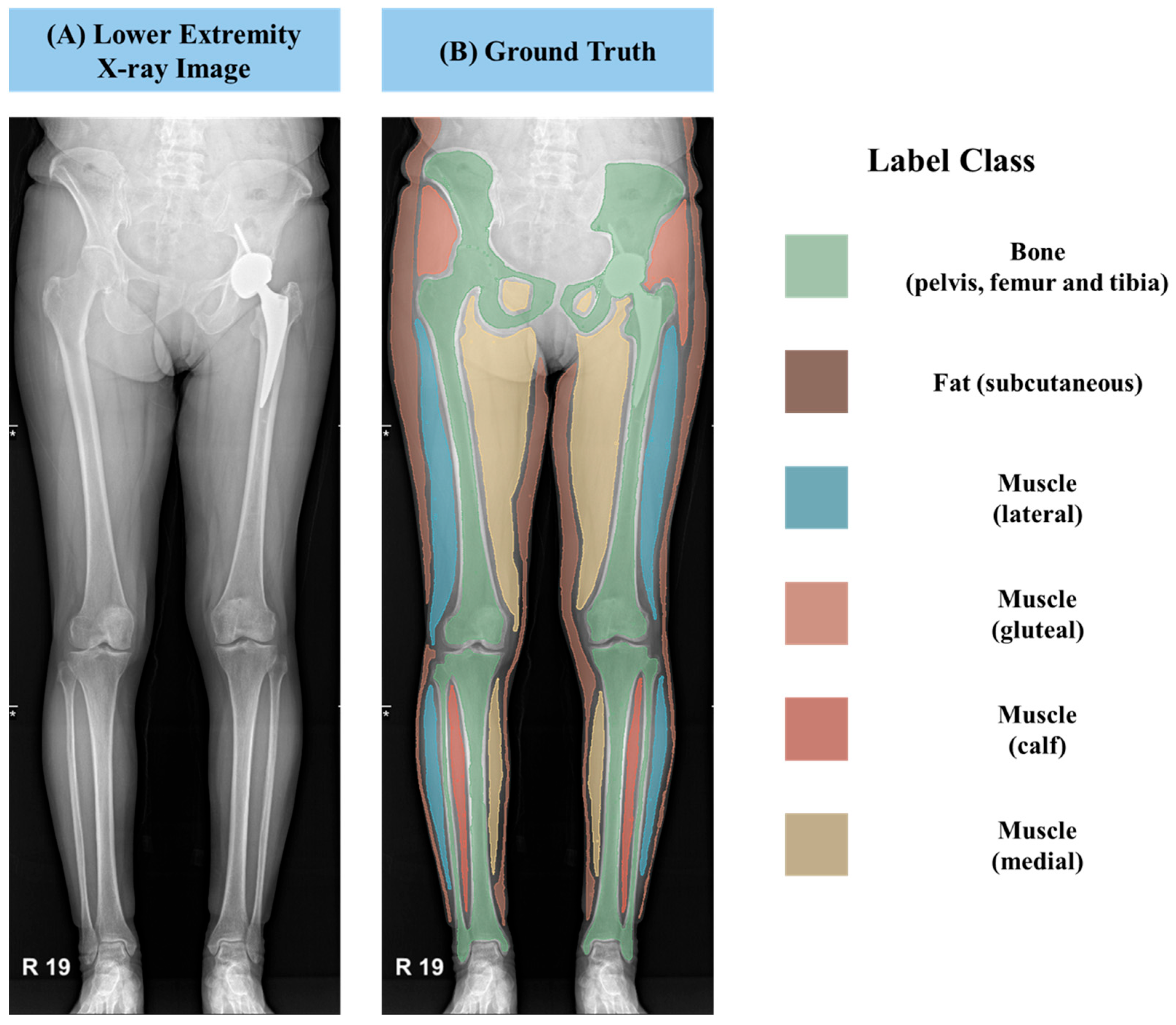 Healthcare 13 02488 g002
