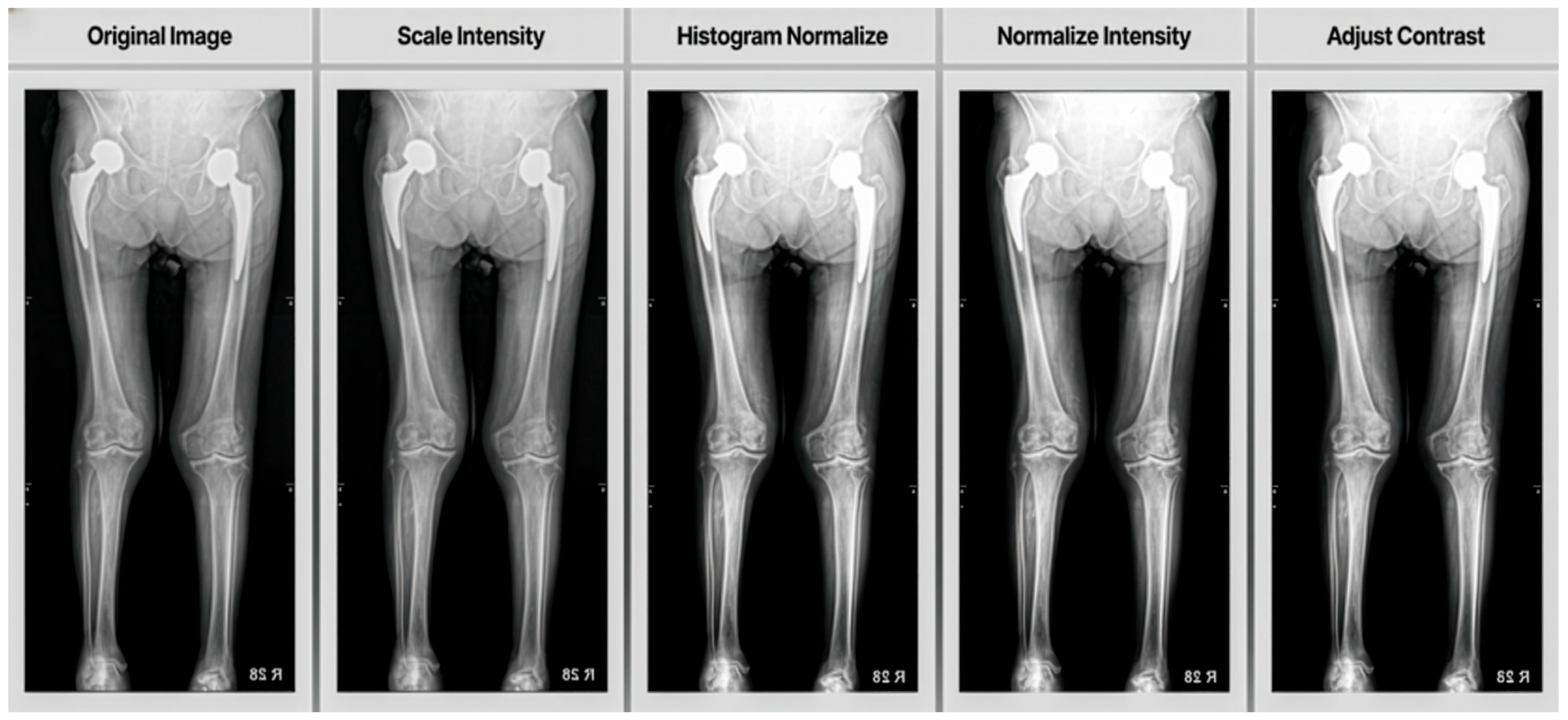 Healthcare 13 02488 g003