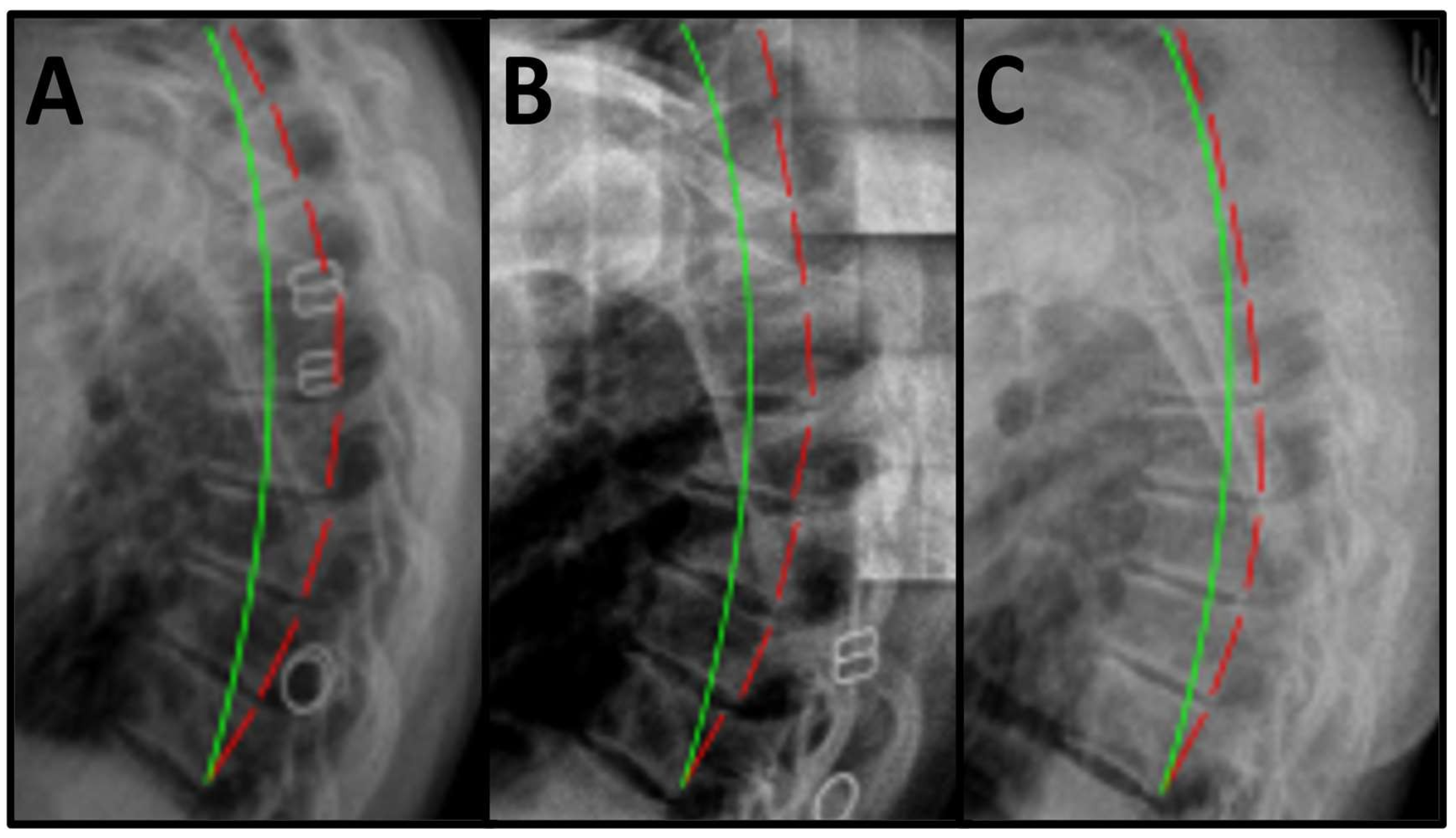 Healthcare 13 02587 g001 Healthcare 13 02587 g001