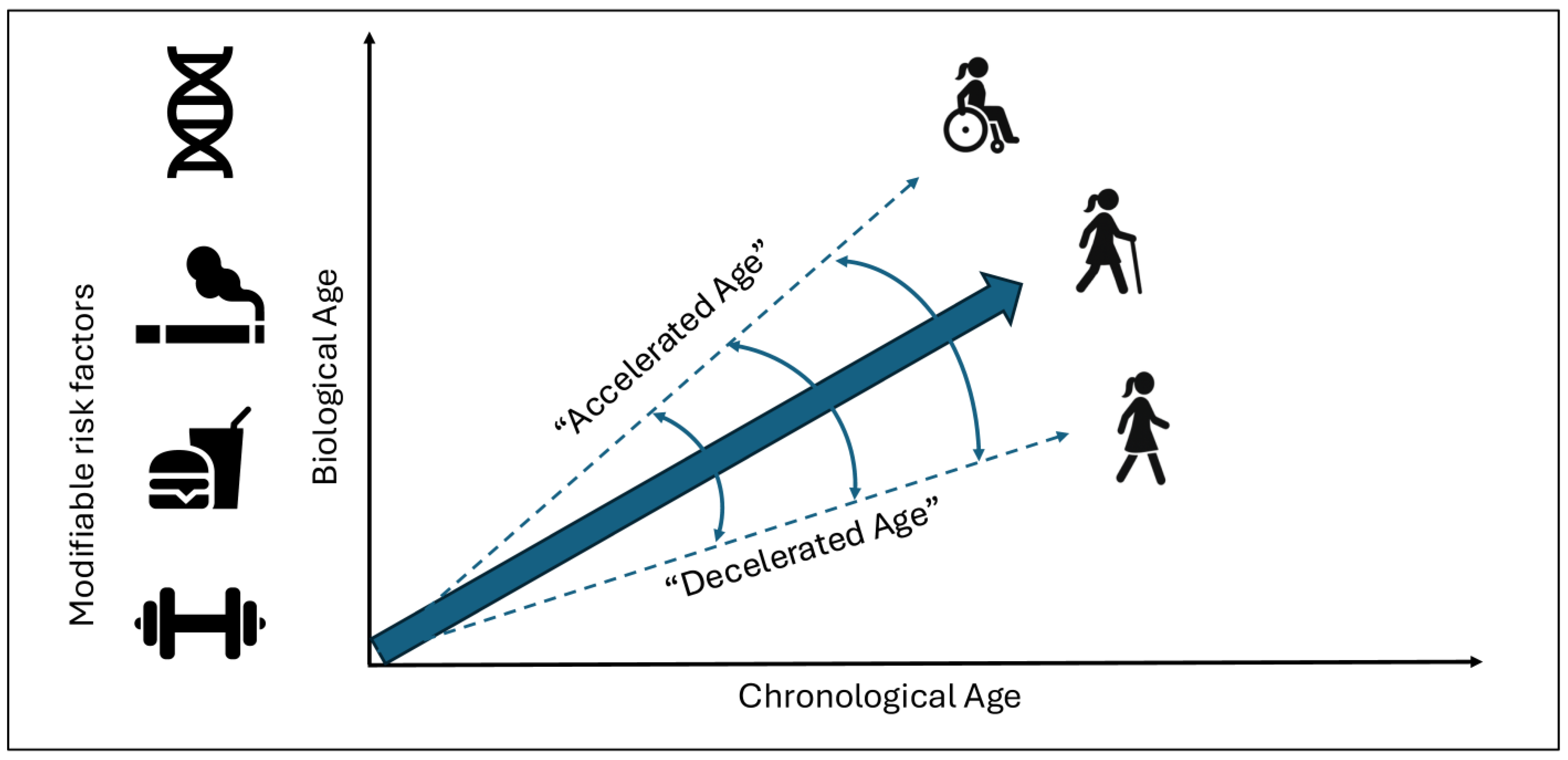 Healthcare 13 02619 g001 Healthcare 13 02619 g001