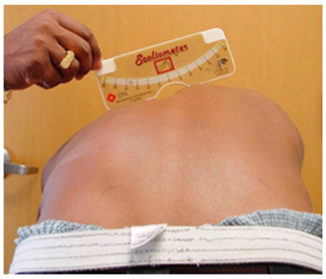 Healthcare 13 02631 g001