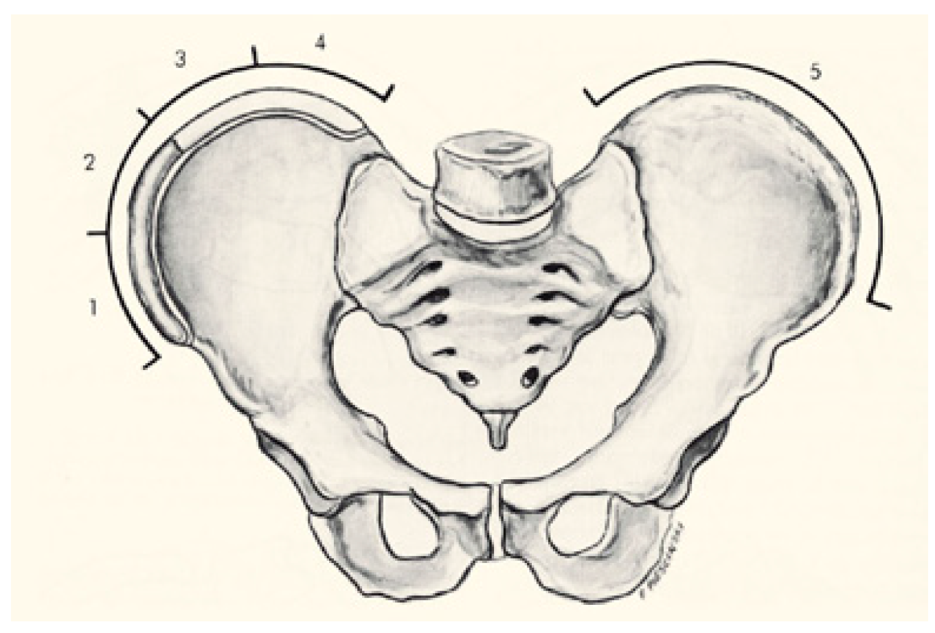 Healthcare 13 02631 g002