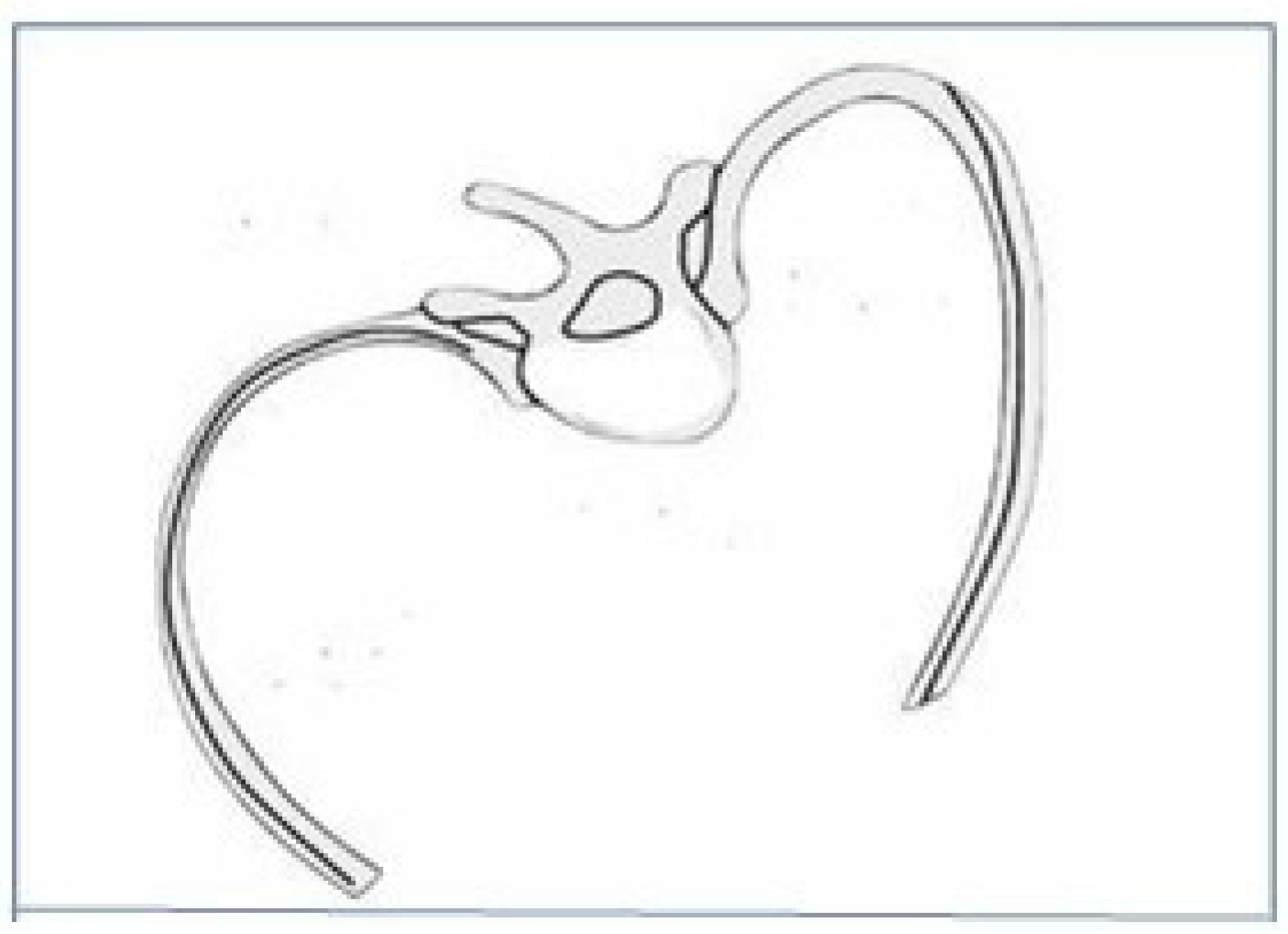 Healthcare 13 02631 g003