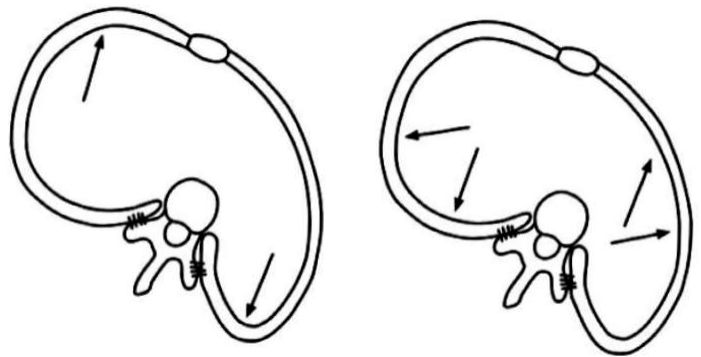 Healthcare 13 02631 g004