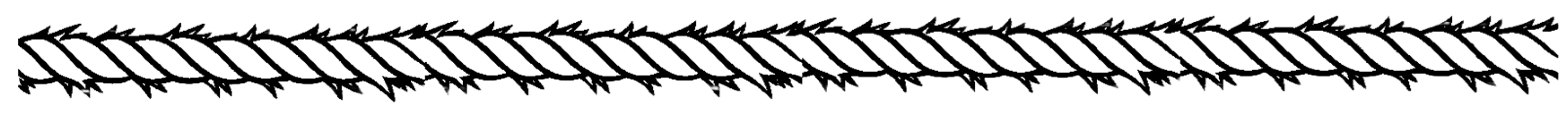 Healthcare 13 02655 g004 Healthcare 13 02655 g004