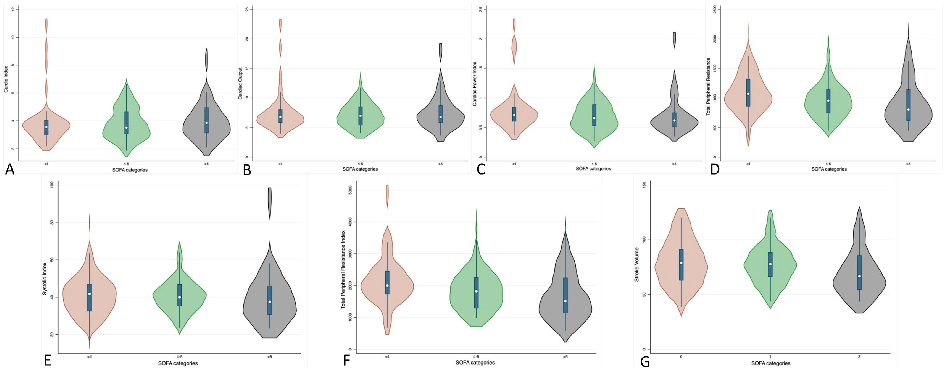 Healthcare 13 02686 g001