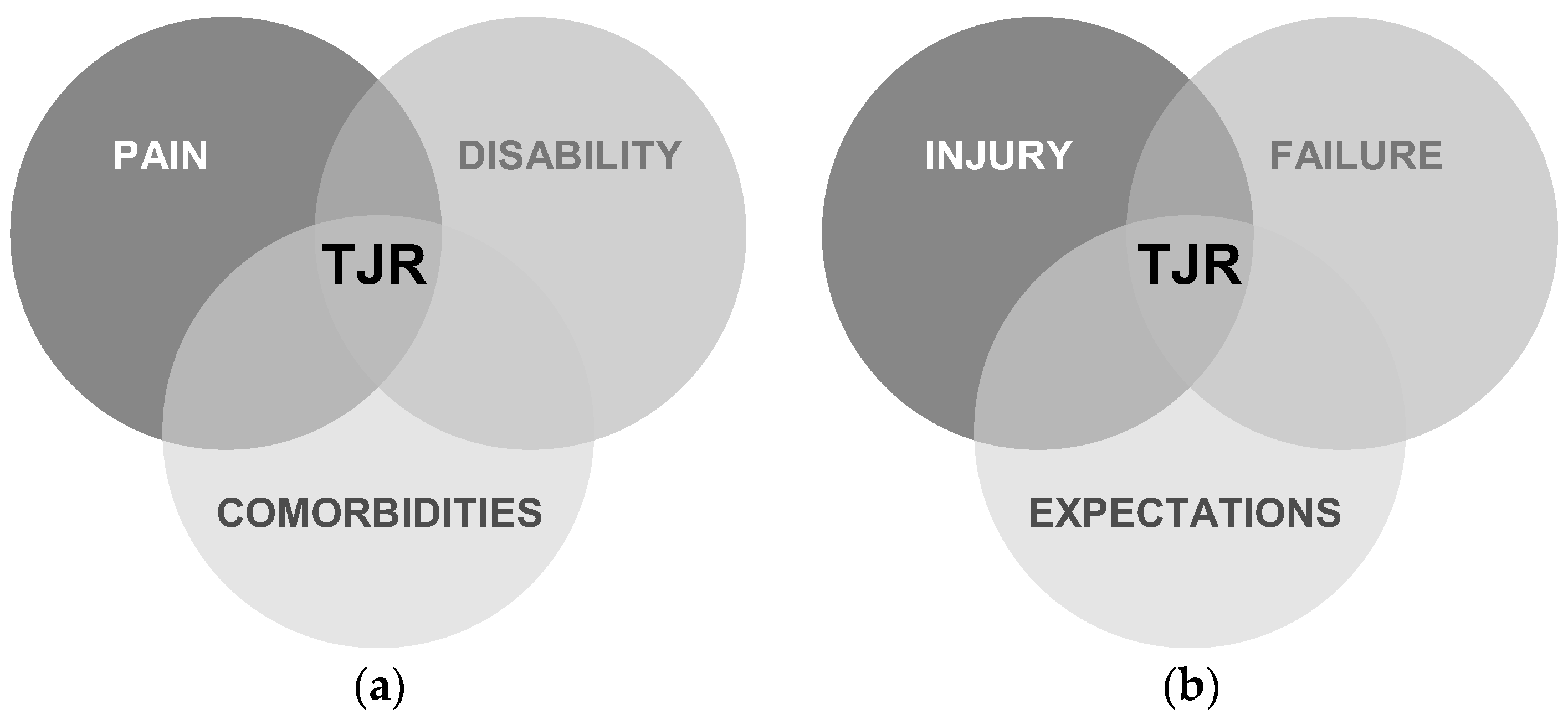 Healthcare 13 02730 g001 Healthcare 13 02730 g001