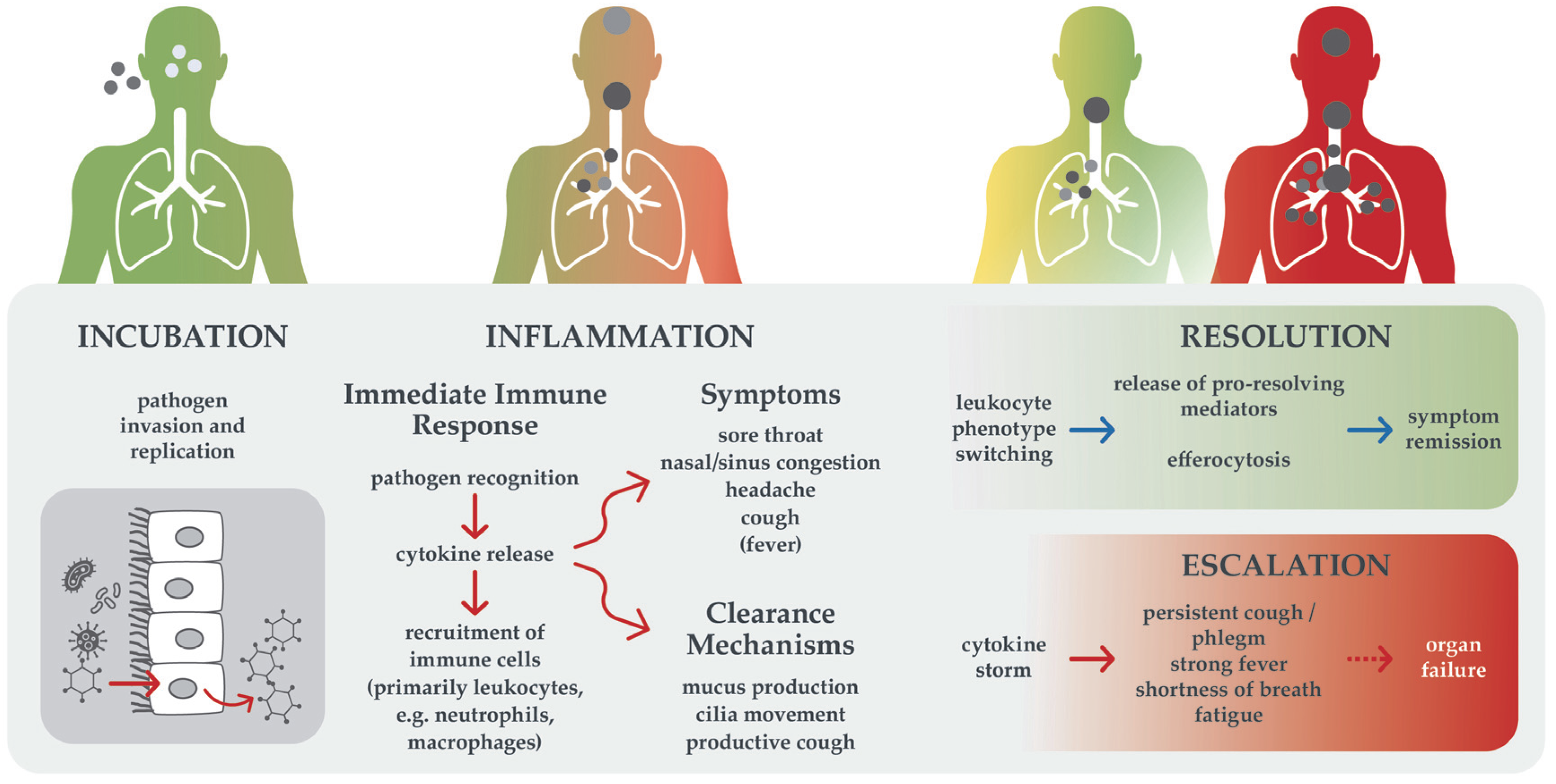 Healthcare 13 02738 g001
