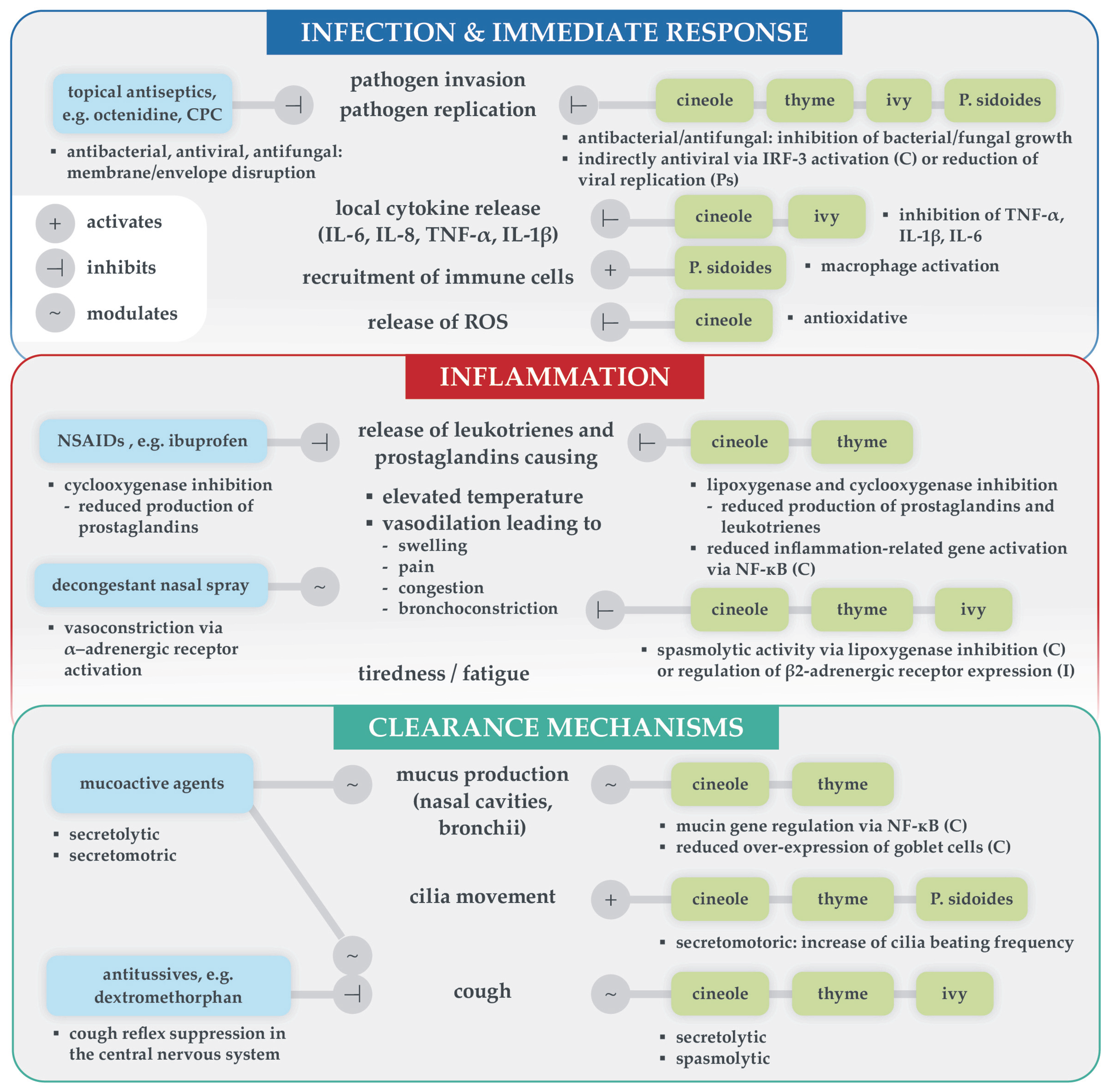 Healthcare 13 02738 g002