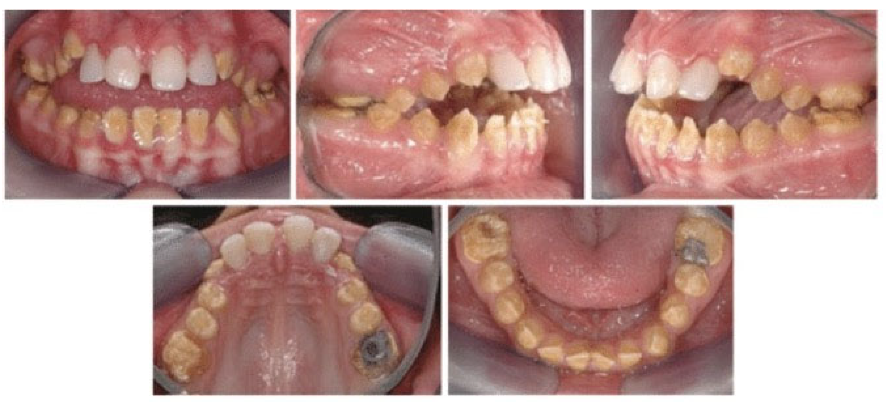 Healthcare 13 02740 g001 Healthcare 13 02740 g001