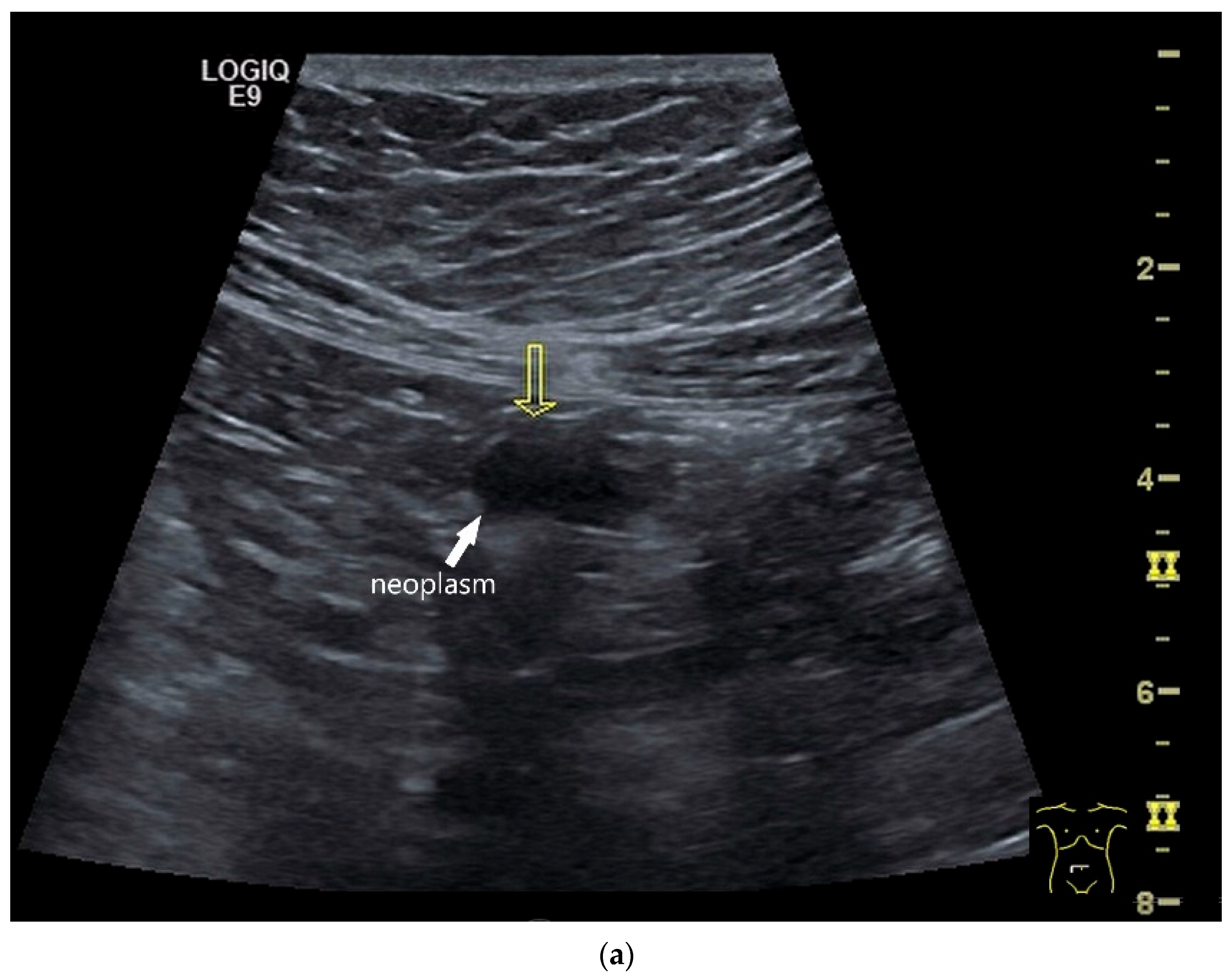 Healthcare 13 02776 g004a Healthcare 13 02776 g004a