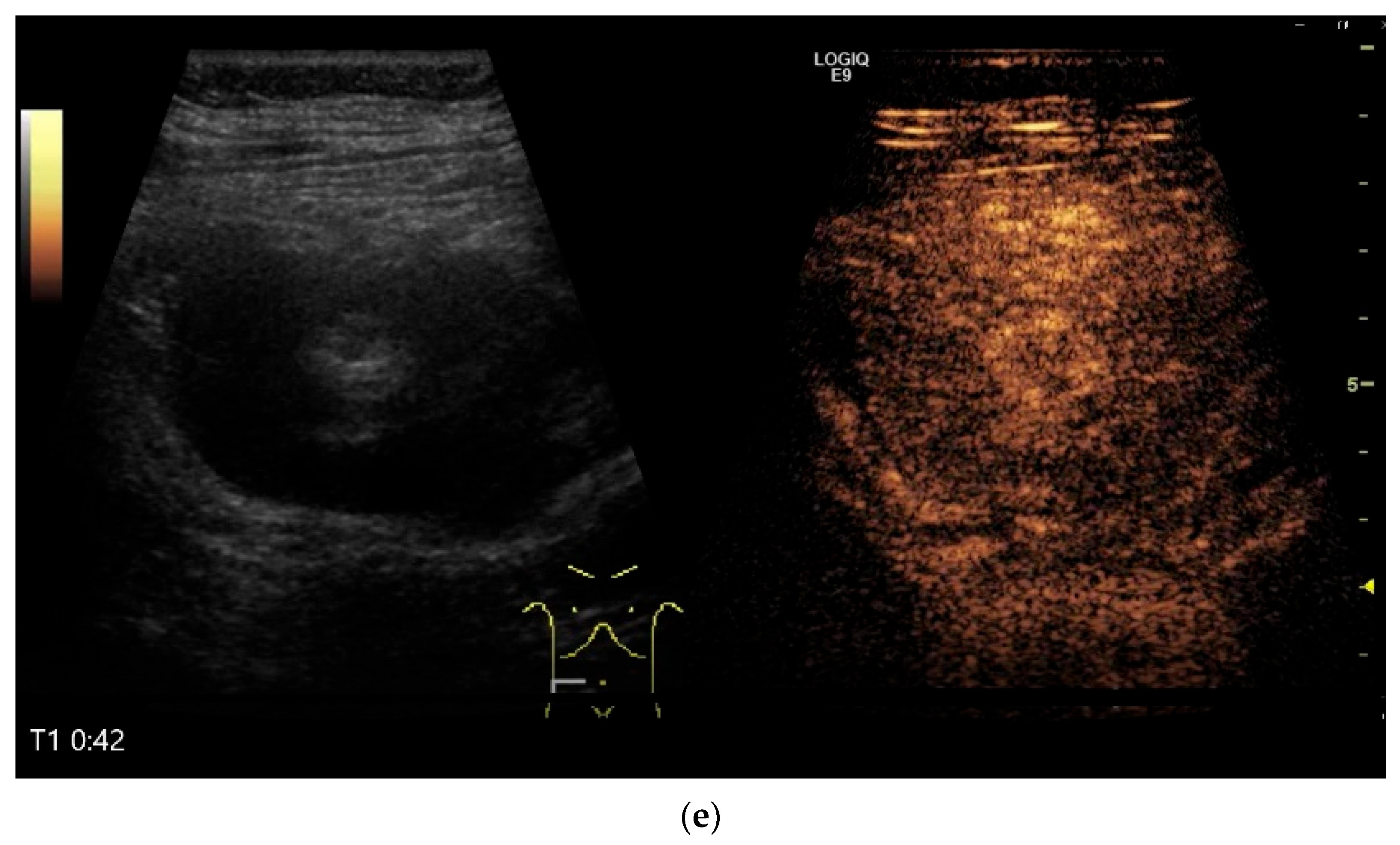 Healthcare 13 02776 g010c Healthcare 13 02776 g010c
