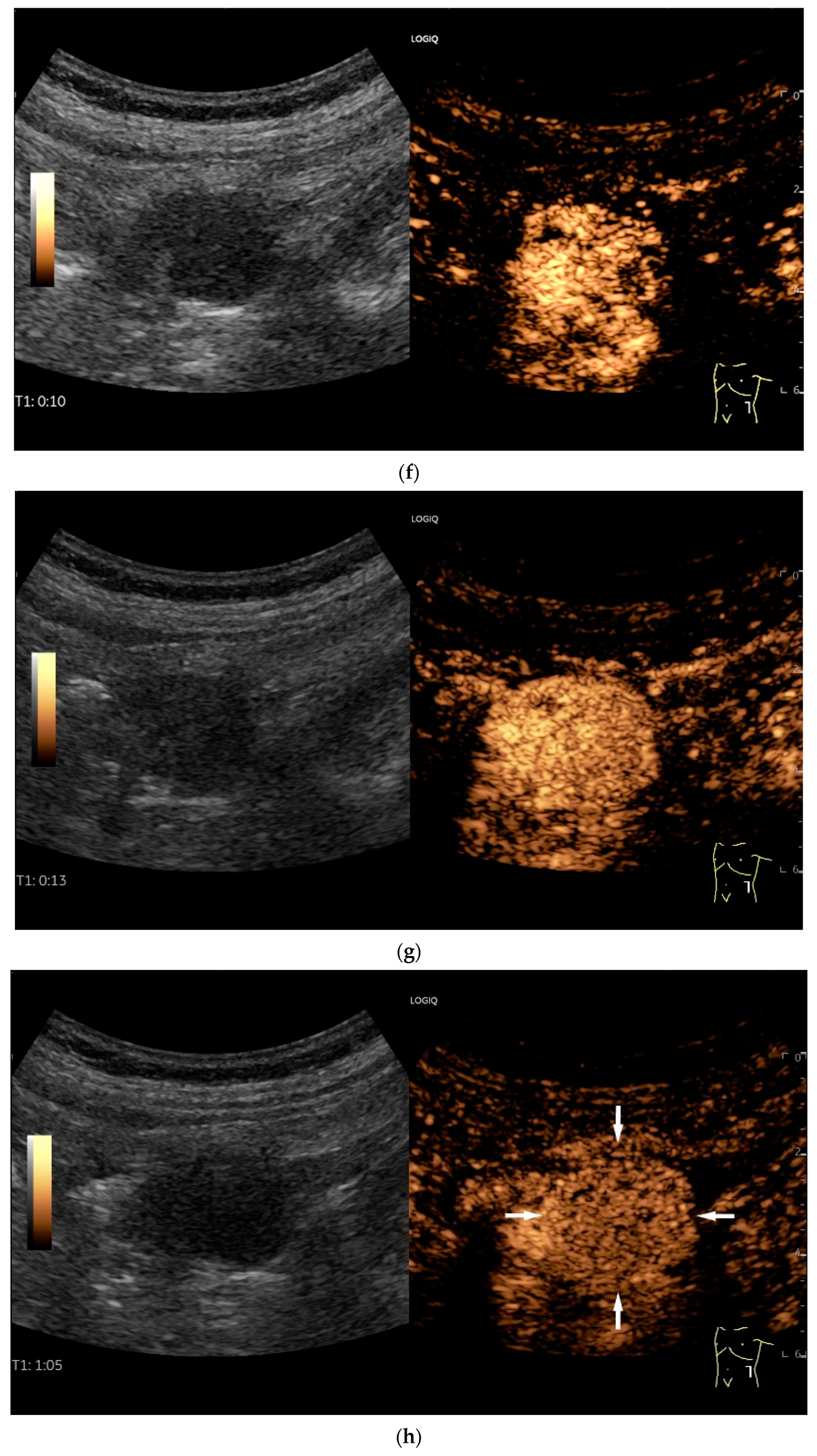 Healthcare 13 02776 g011c Healthcare 13 02776 g011c
