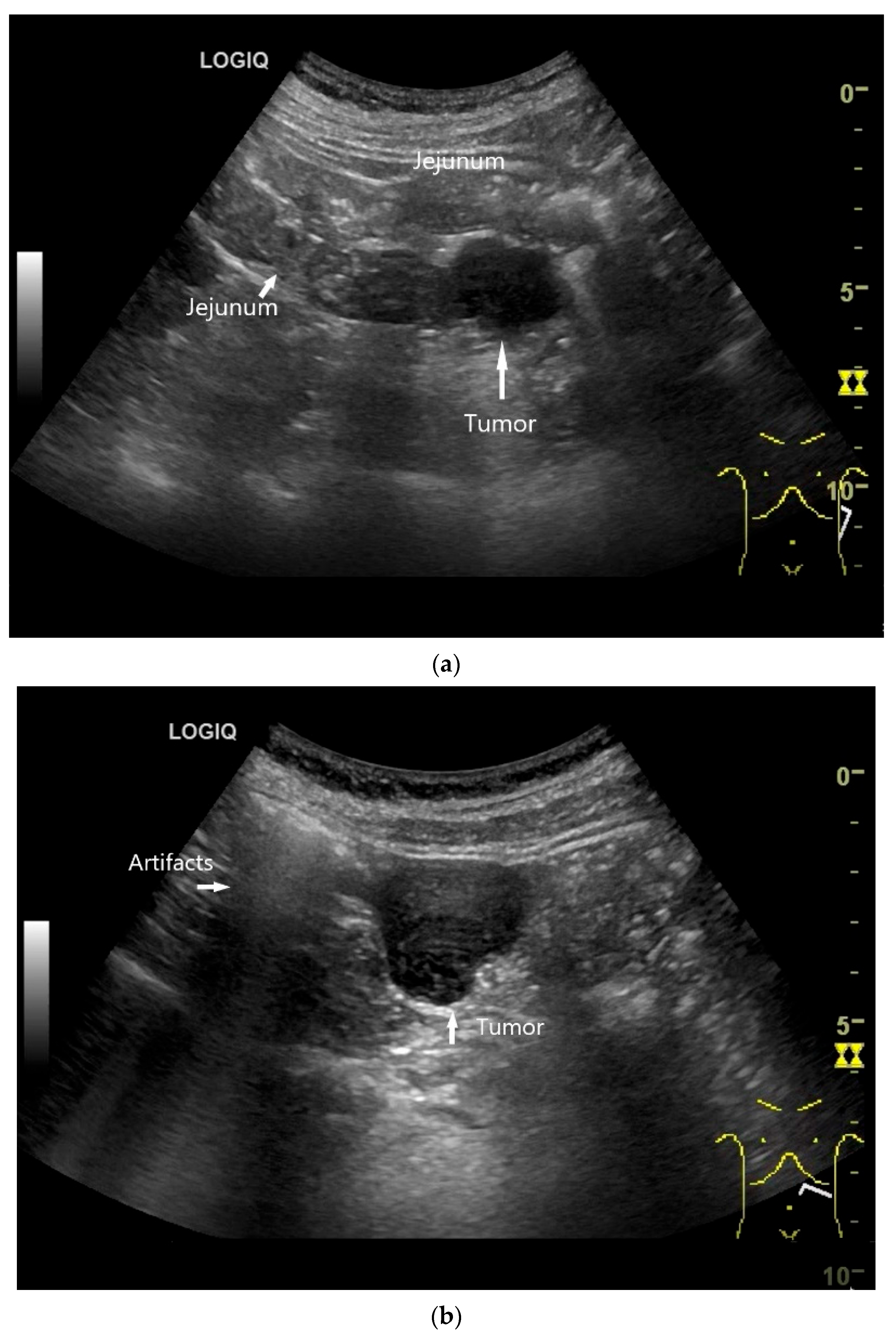 Healthcare 13 02776 g012a Healthcare 13 02776 g012a