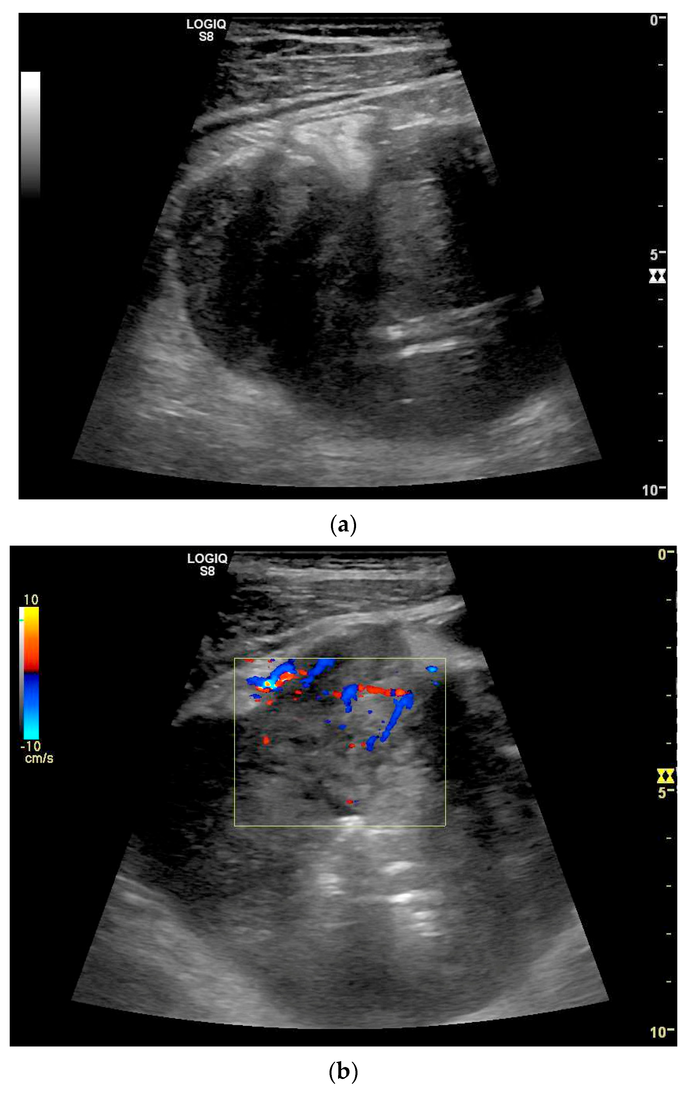 Healthcare 13 02776 g014 Healthcare 13 02776 g014
