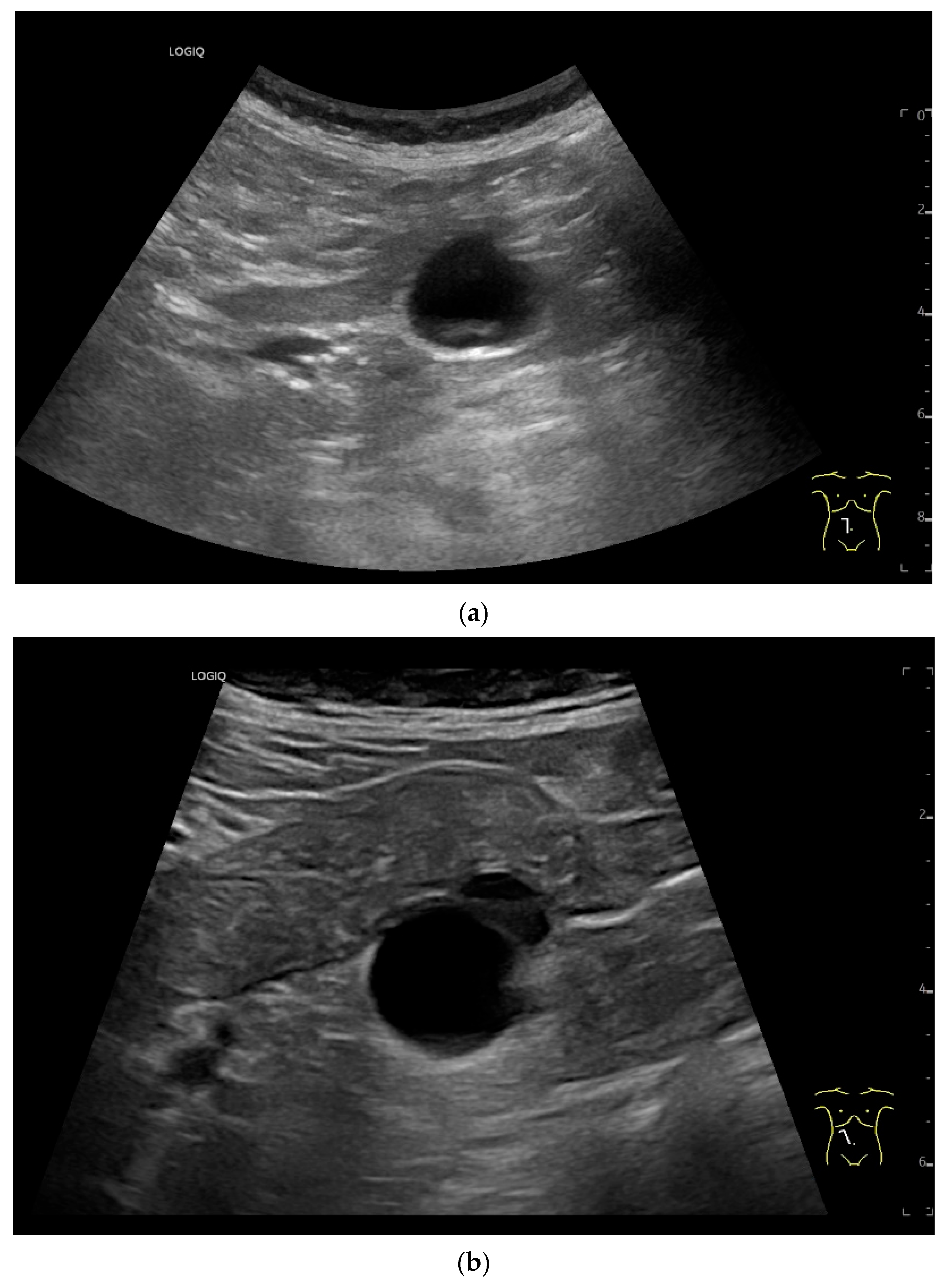 Healthcare 13 02776 g015a Healthcare 13 02776 g015a