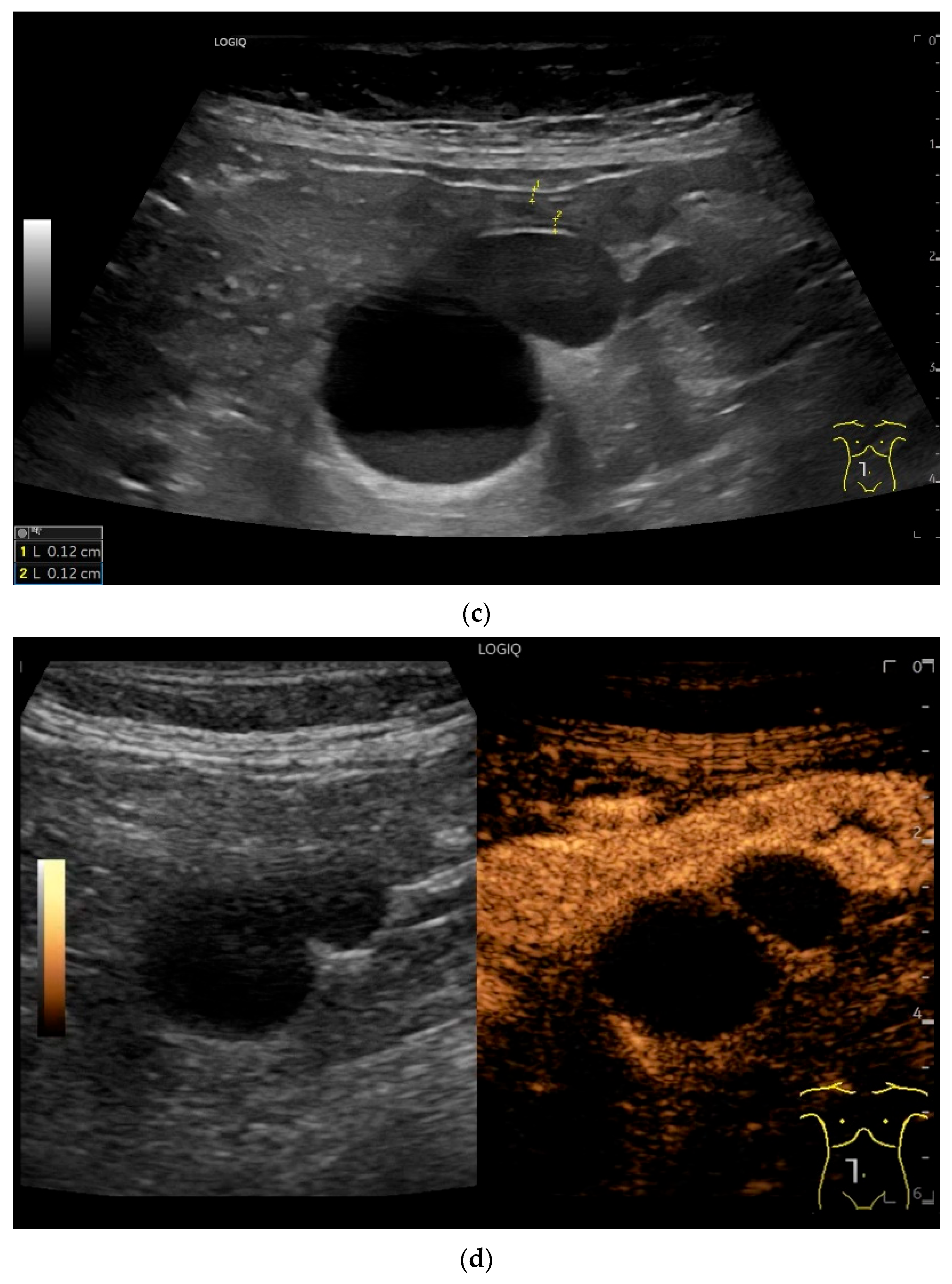 Healthcare 13 02776 g015b Healthcare 13 02776 g015b