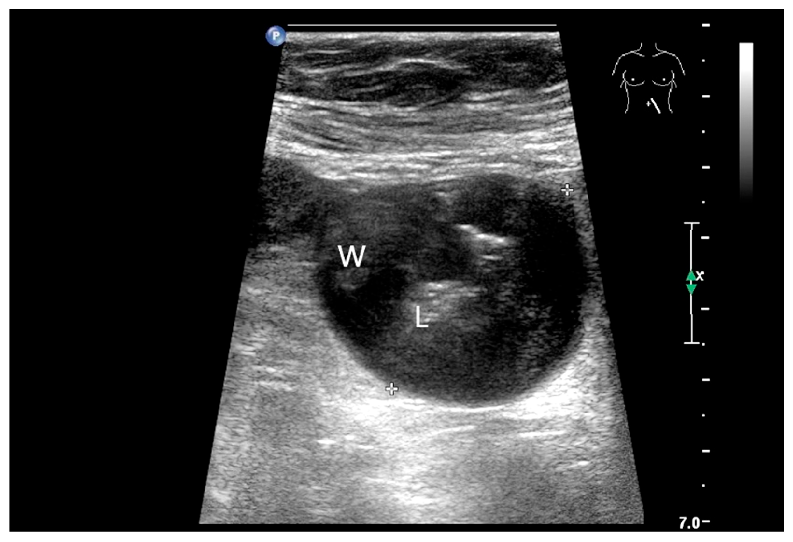 Healthcare 13 02776 g018 Healthcare 13 02776 g018