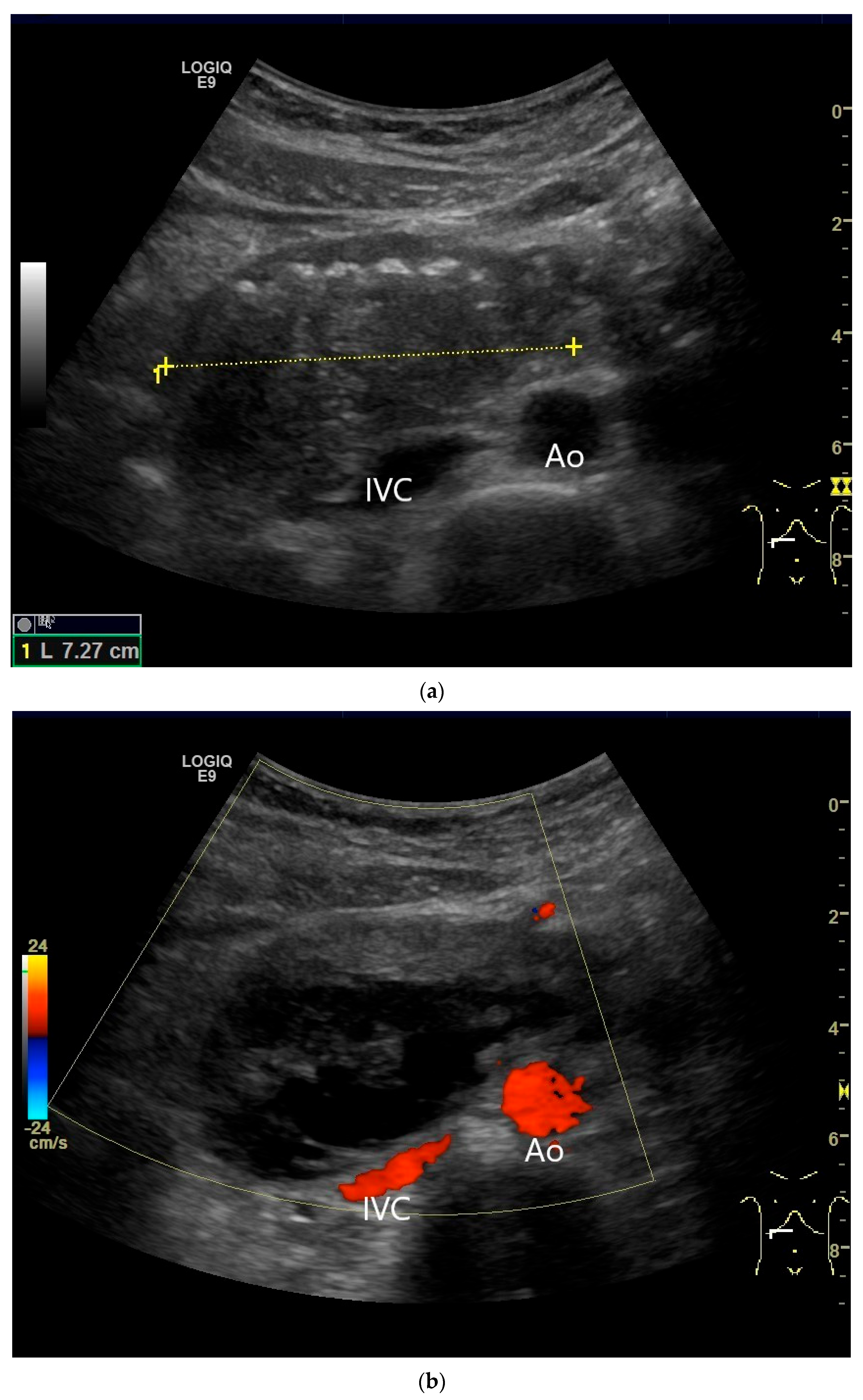 Healthcare 13 02776 g021a Healthcare 13 02776 g021a