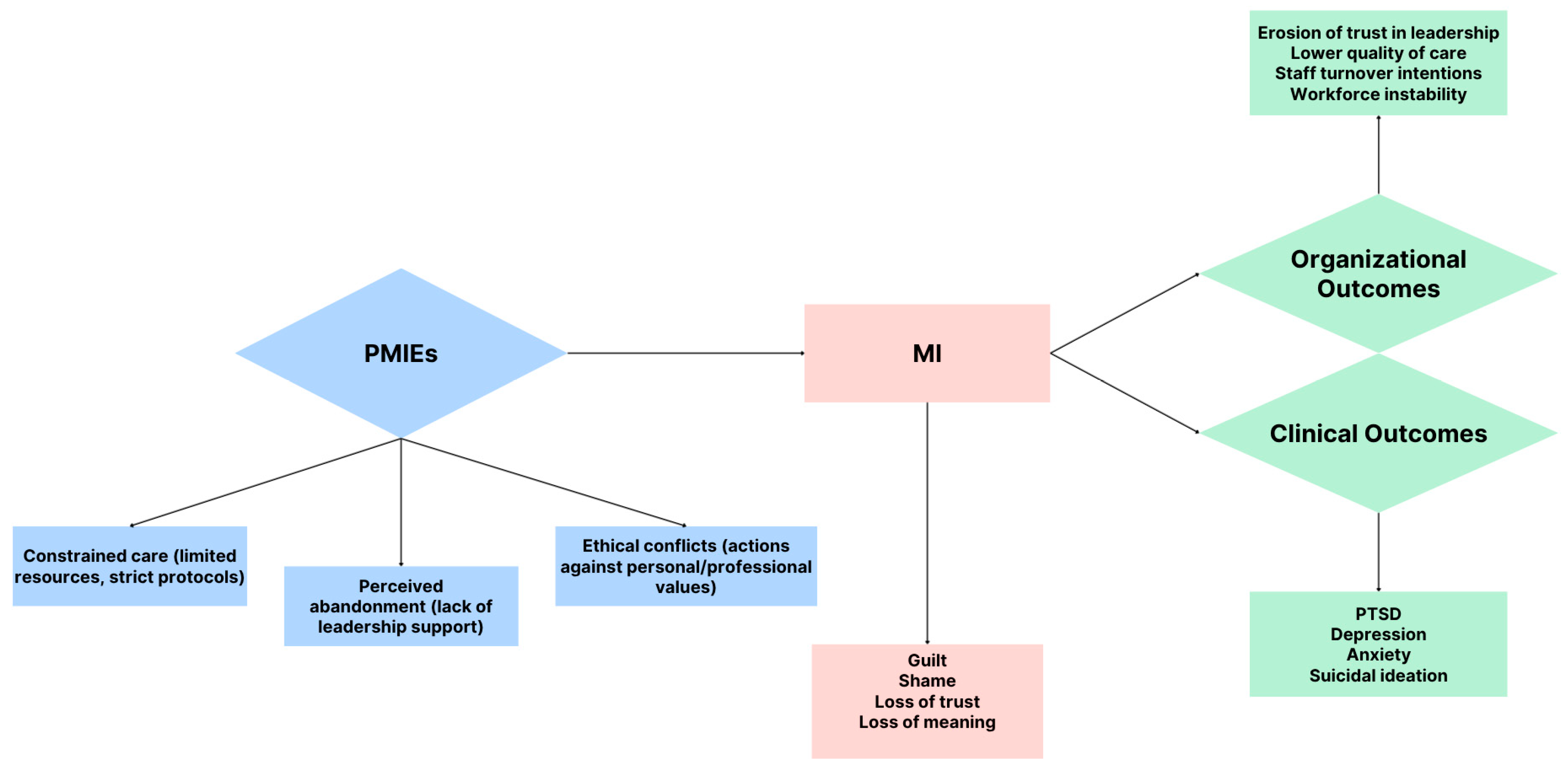 Healthcare 13 02822 g001