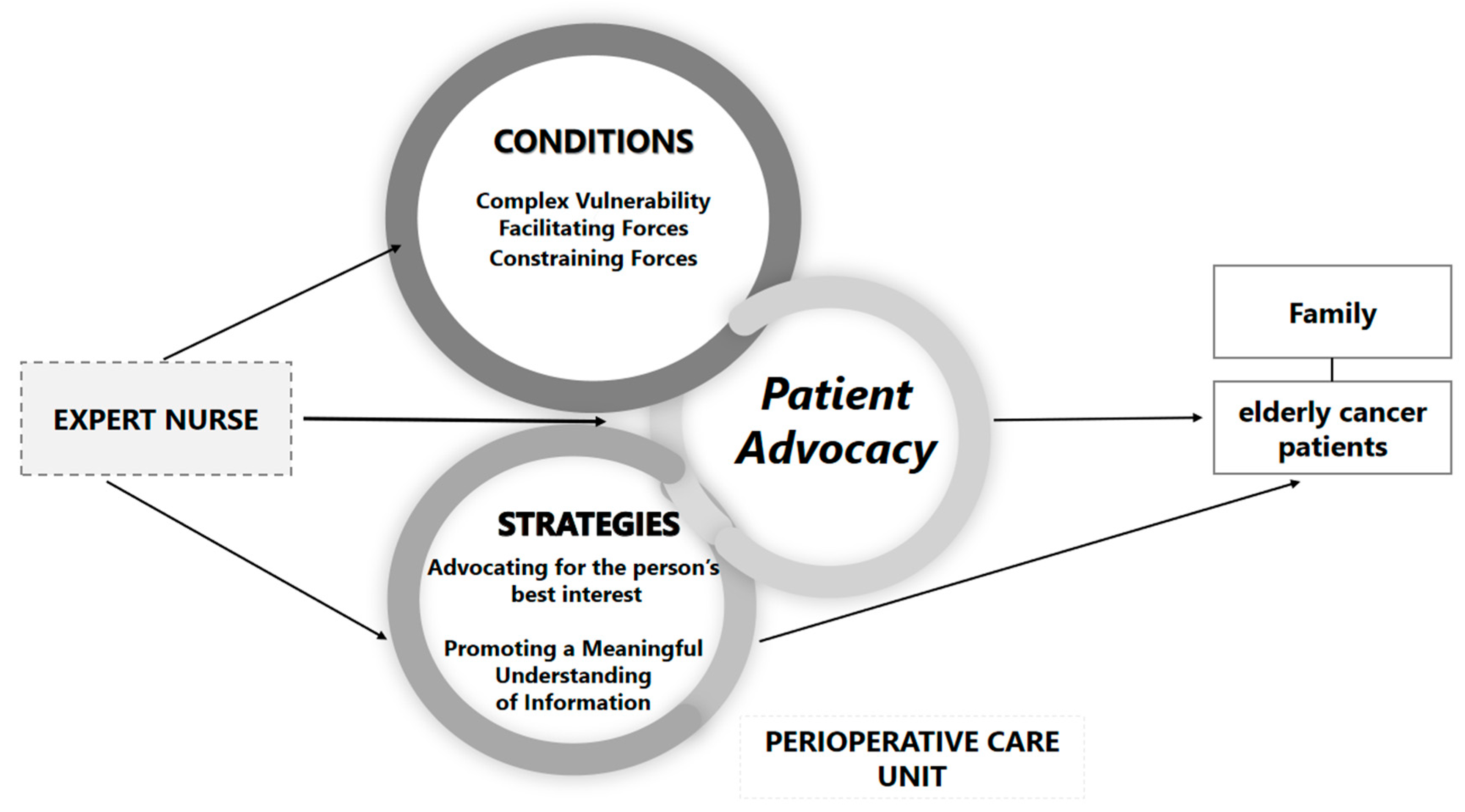 Healthcare 13 02848 g002
