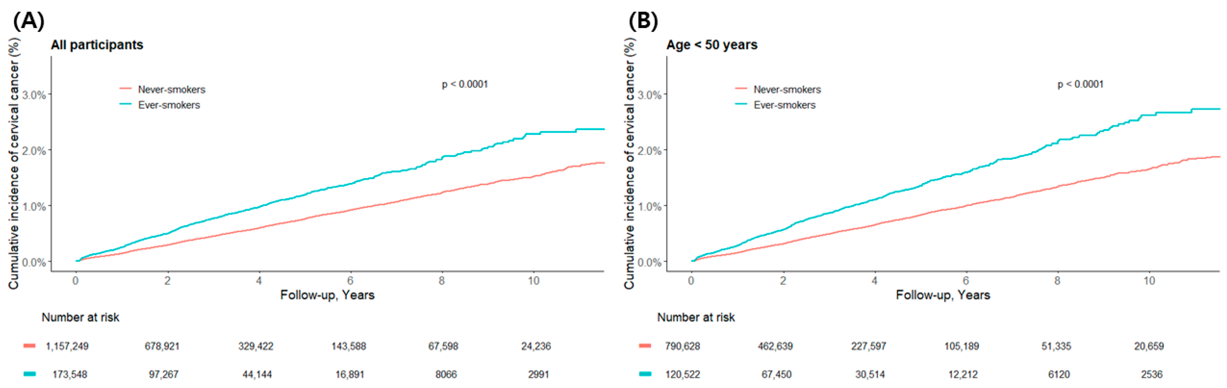 Healthcare 13 02852 g002a