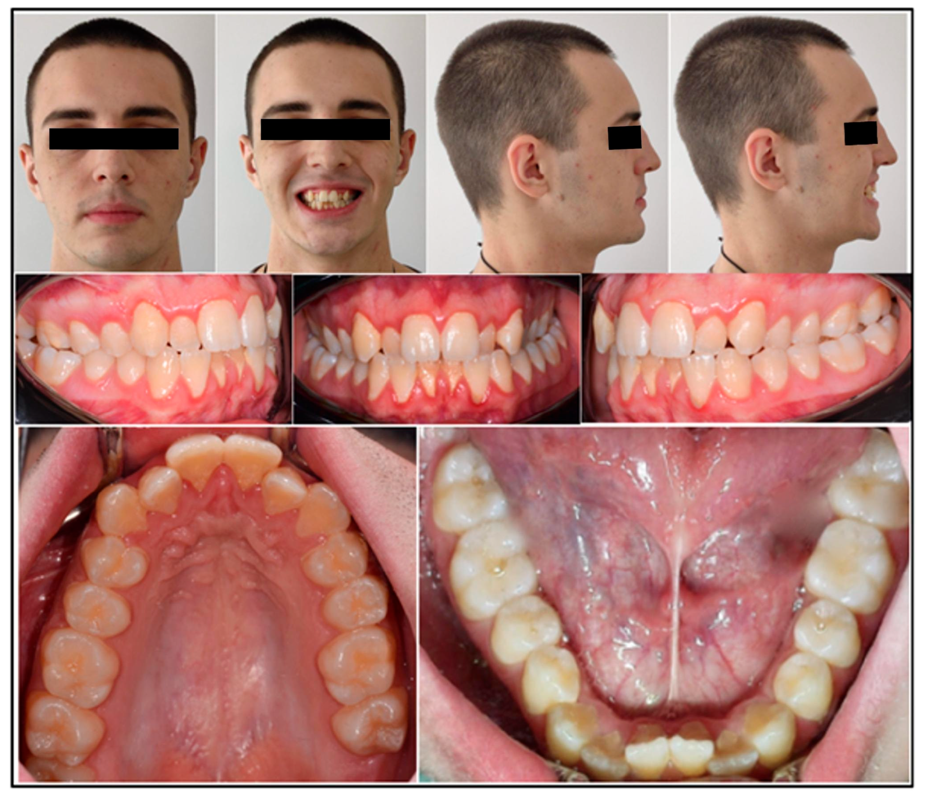 Healthcare 13 02854 g001