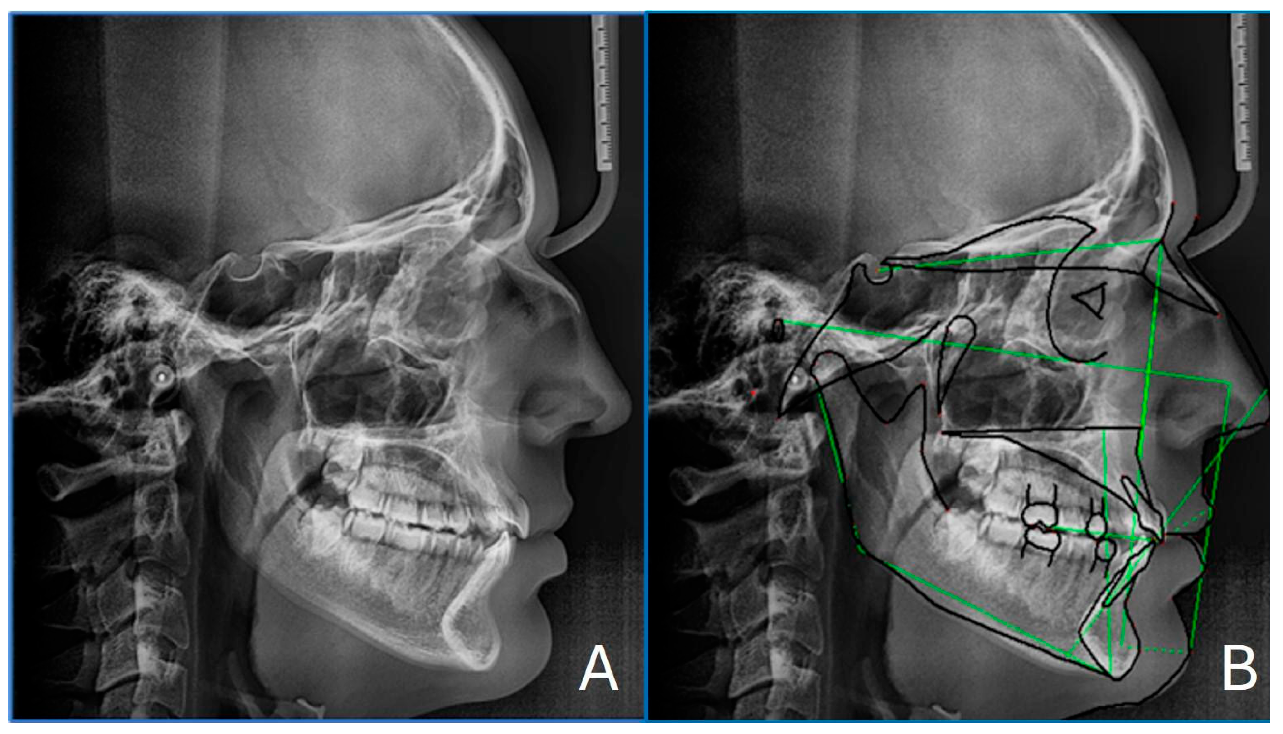 Healthcare 13 02854 g002