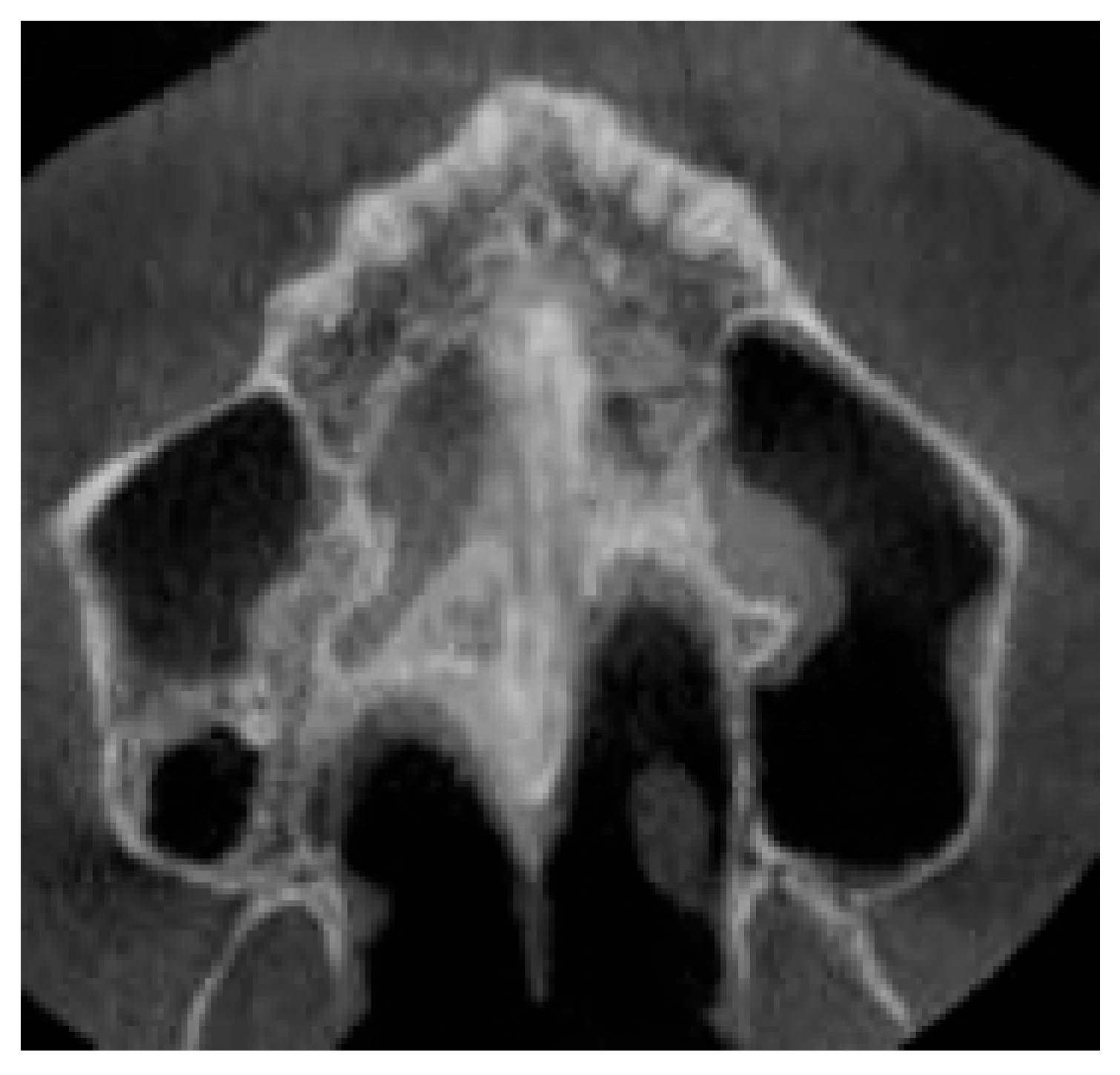 Healthcare 13 02854 g003