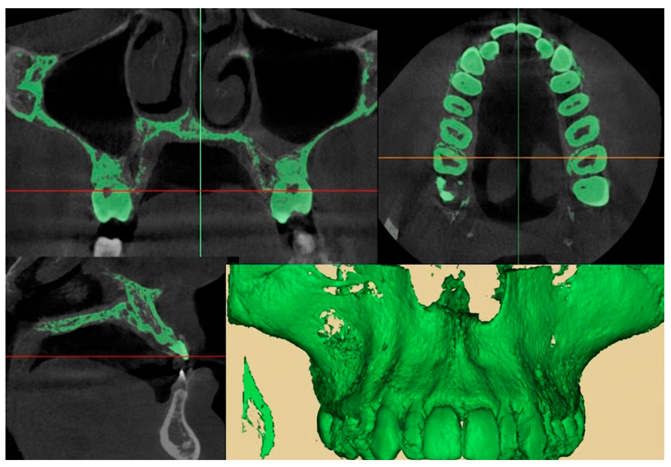 Healthcare 13 02854 g004