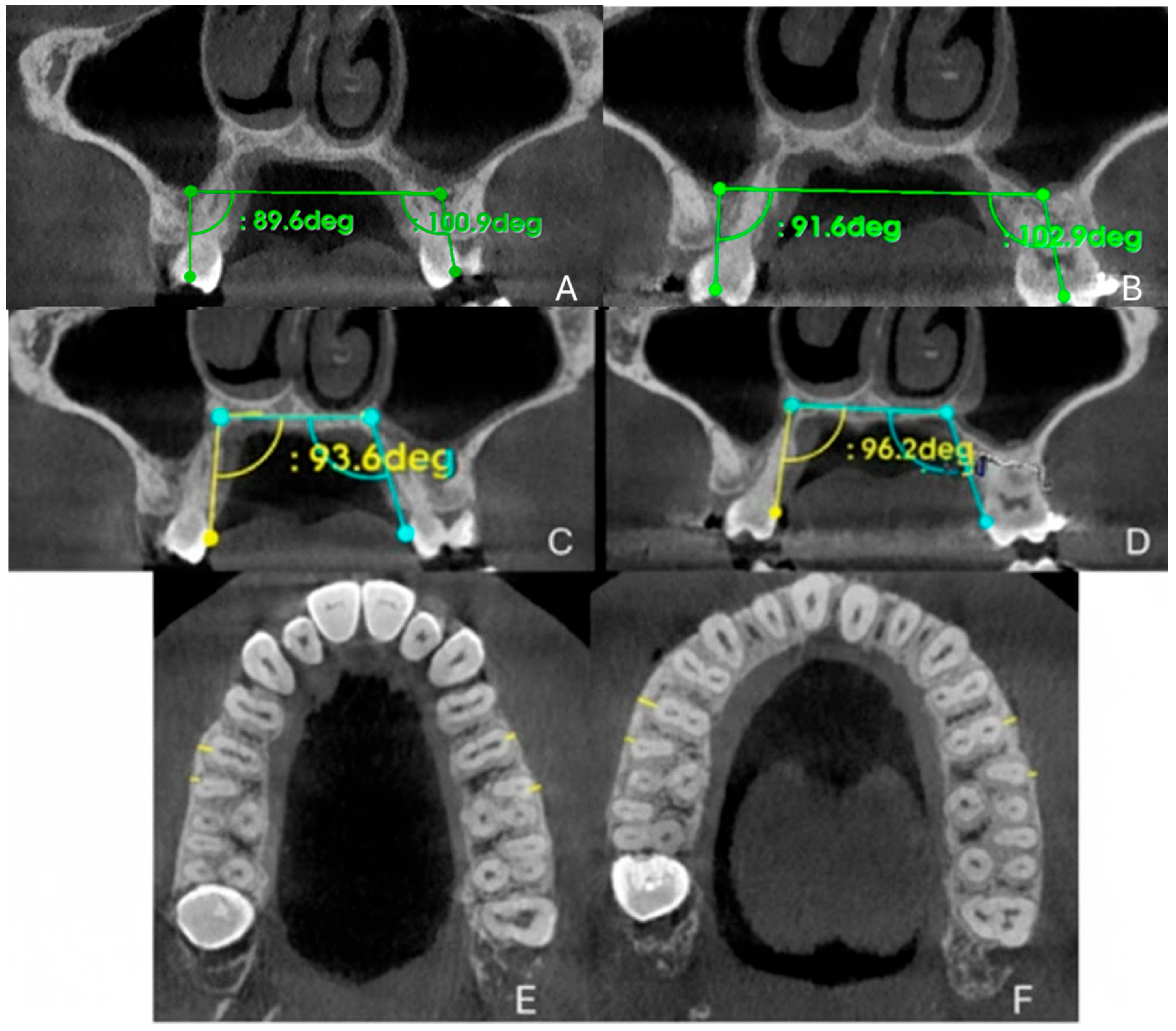 Healthcare 13 02854 g006