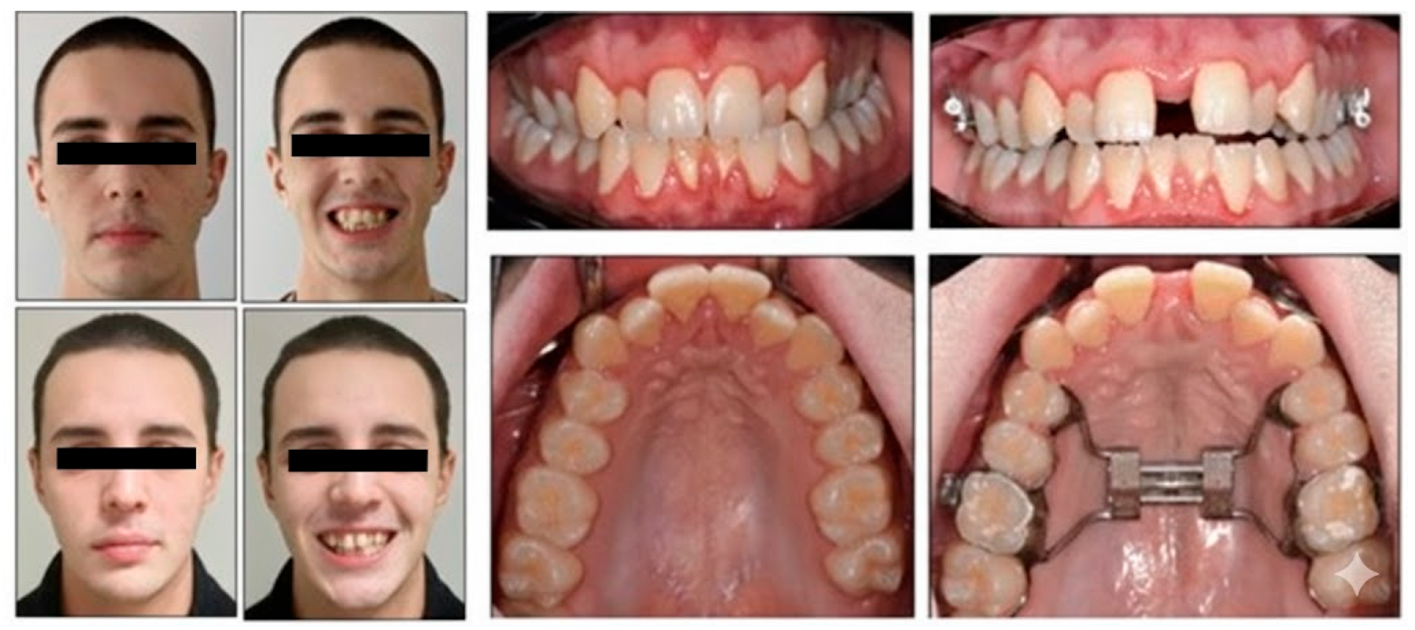 Healthcare 13 02854 g007