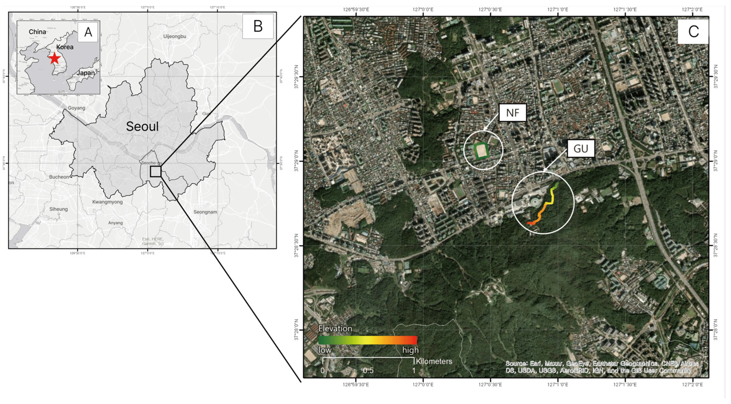 Healthcare 13 02876 g001 Healthcare 13 02876 g001