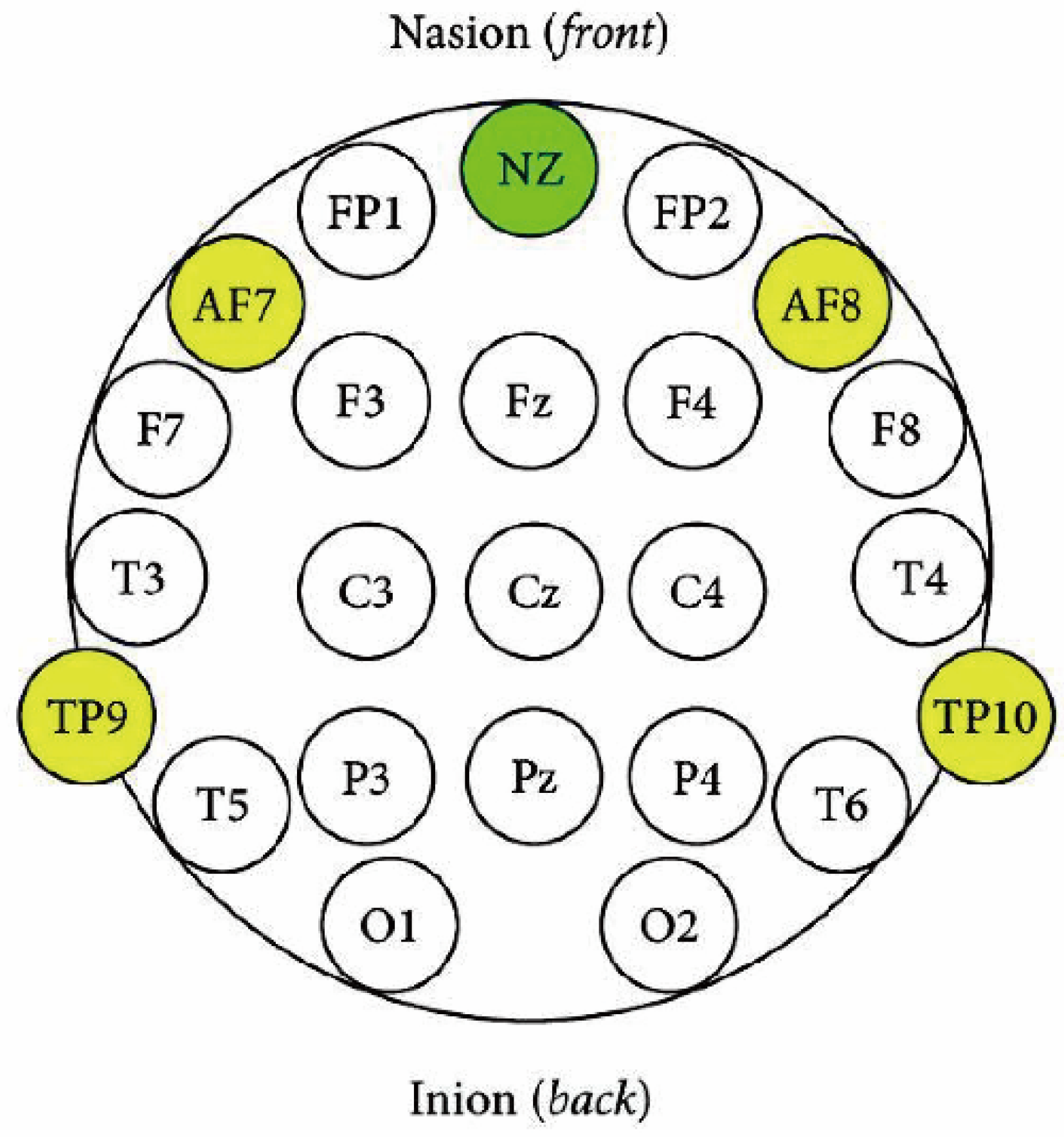 Healthcare 13 02876 g003 Healthcare 13 02876 g003