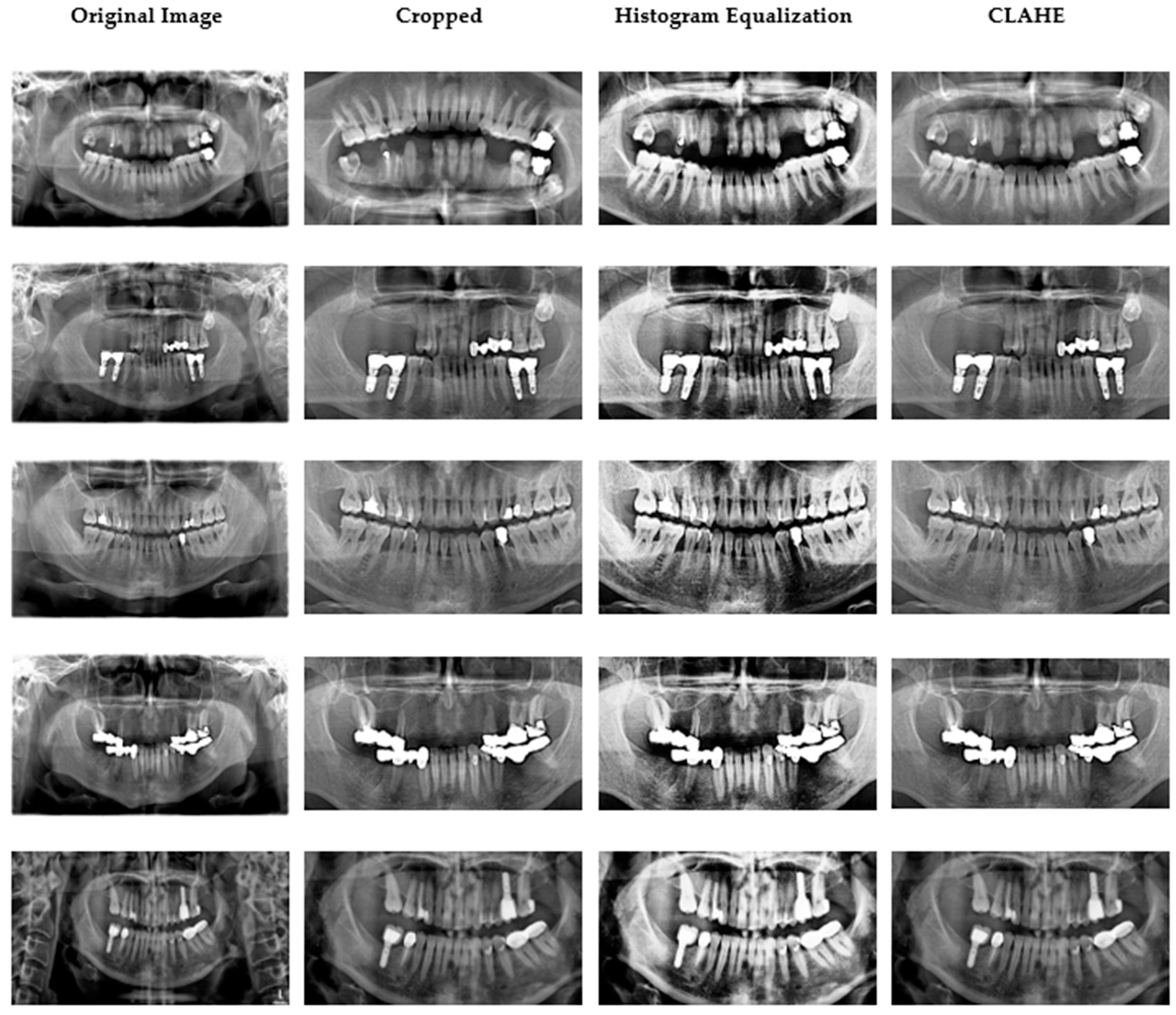 Healthcare 13 02904 g002