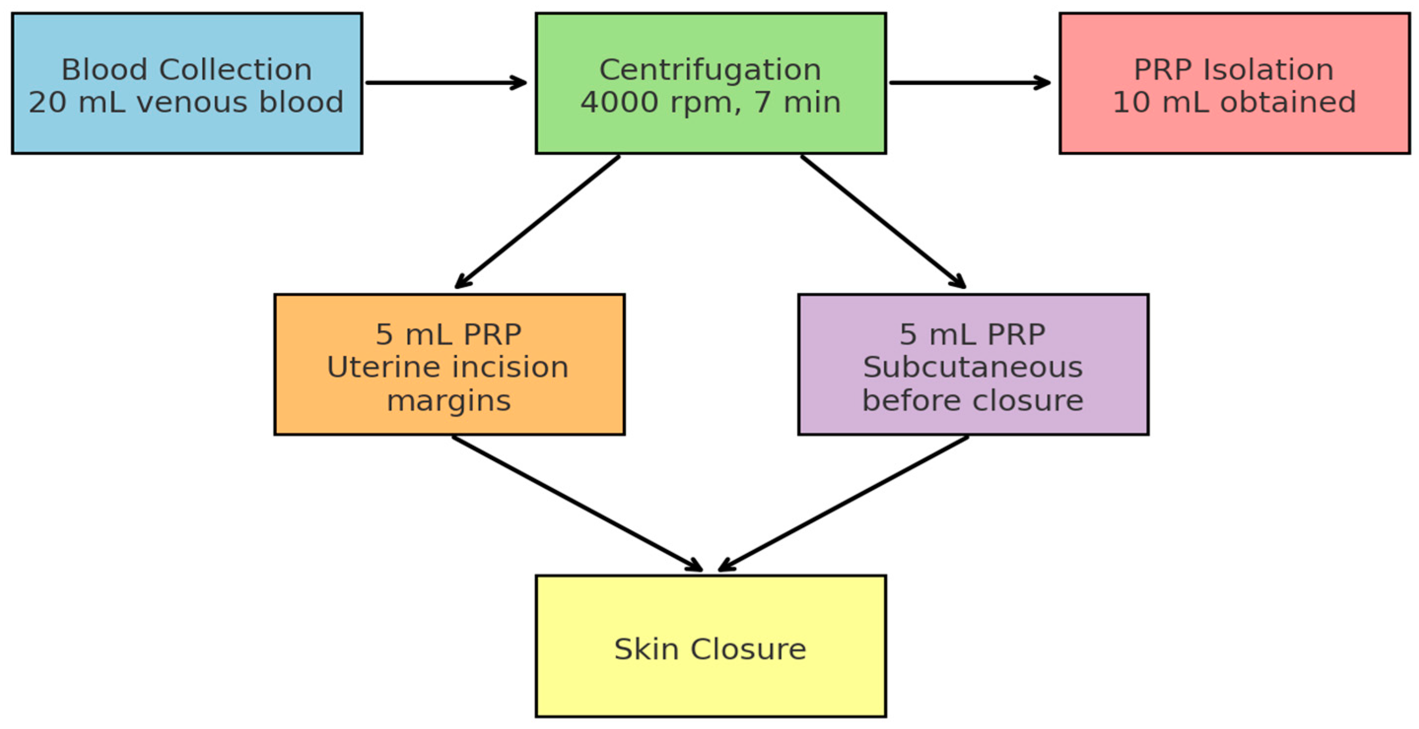 Healthcare 13 02928 g002