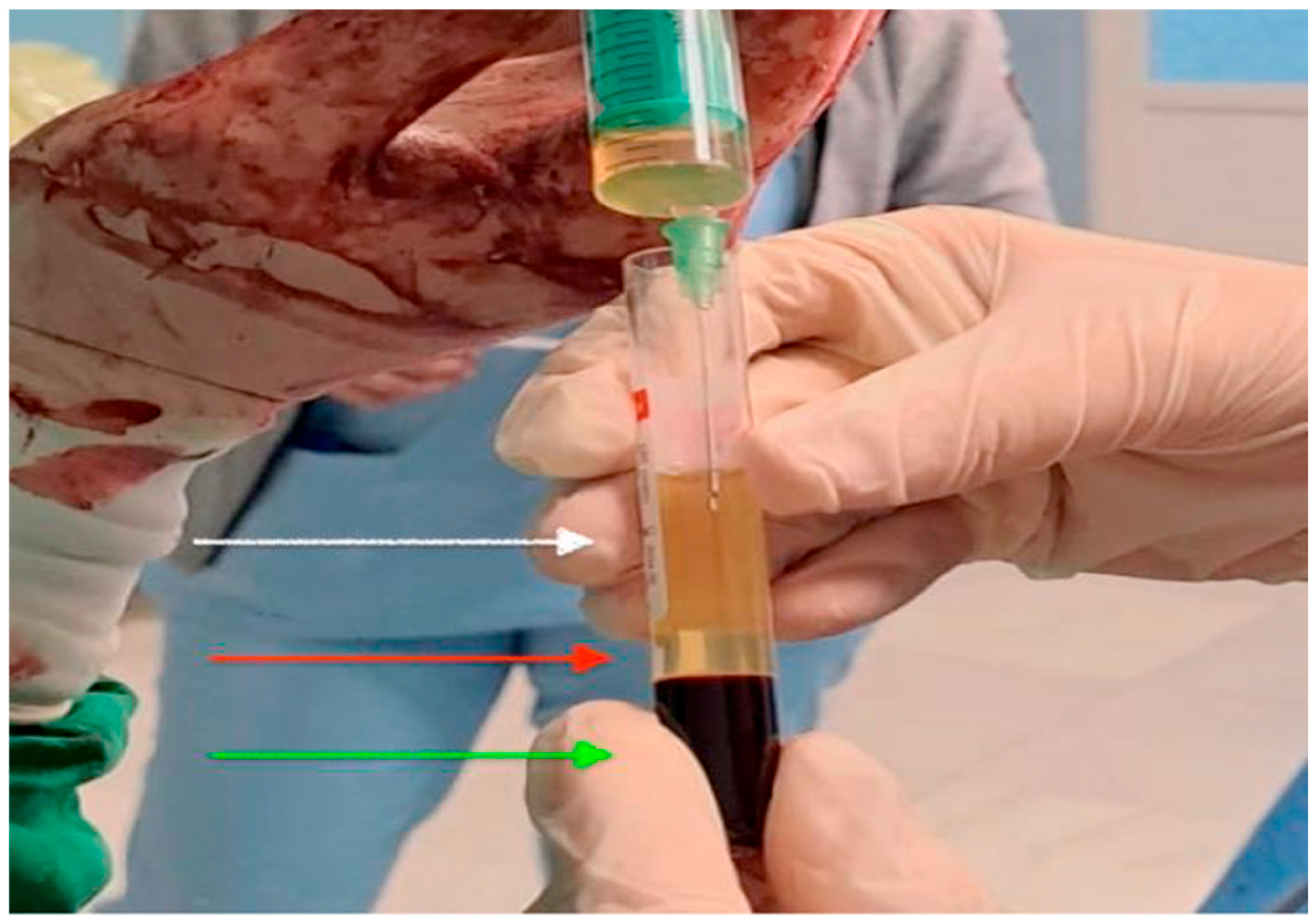 Healthcare 13 02928 g003