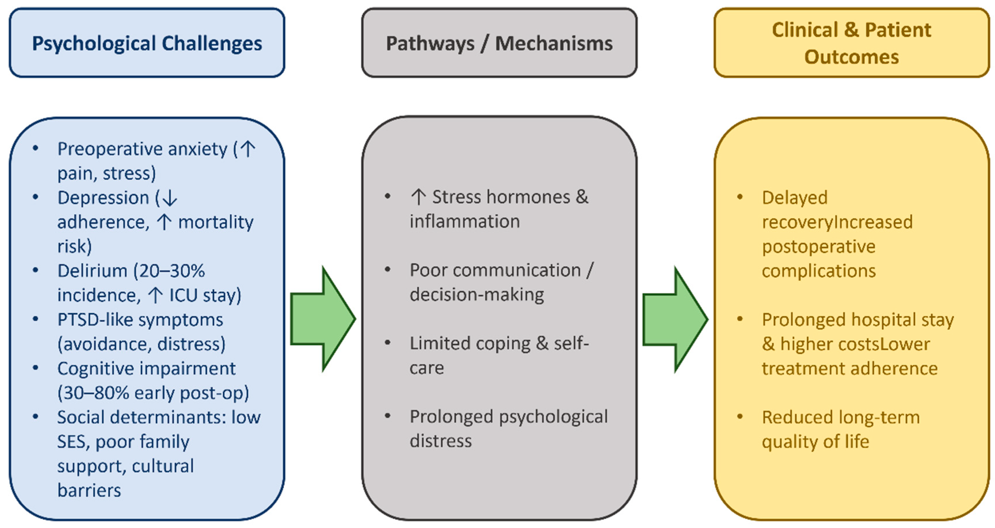 Healthcare 13 02957 g002