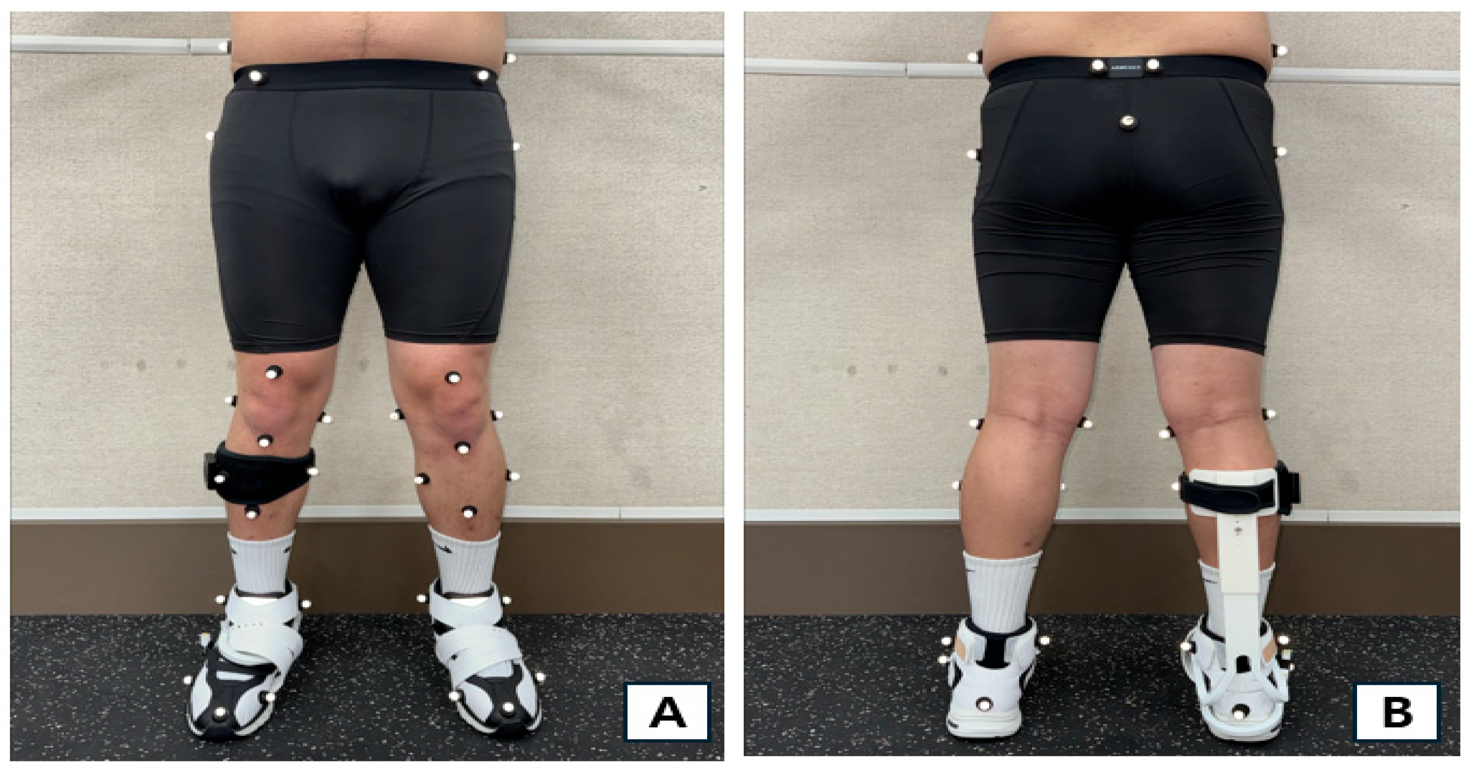 Healthcare 13 02984 g001