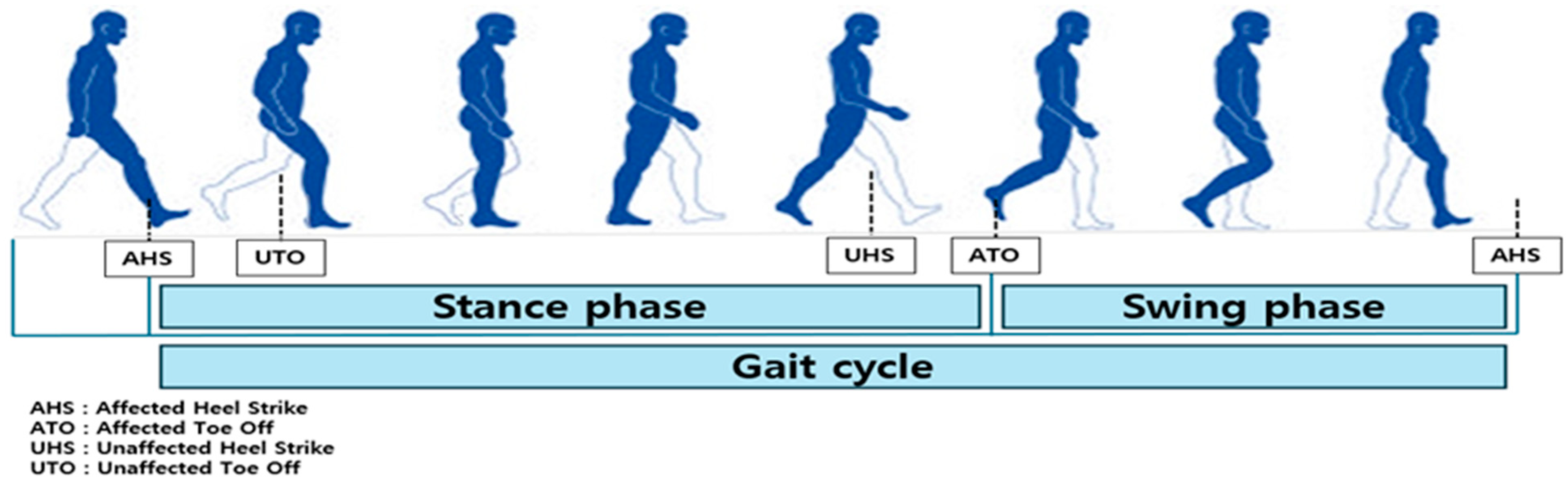 Healthcare 13 02984 g004
