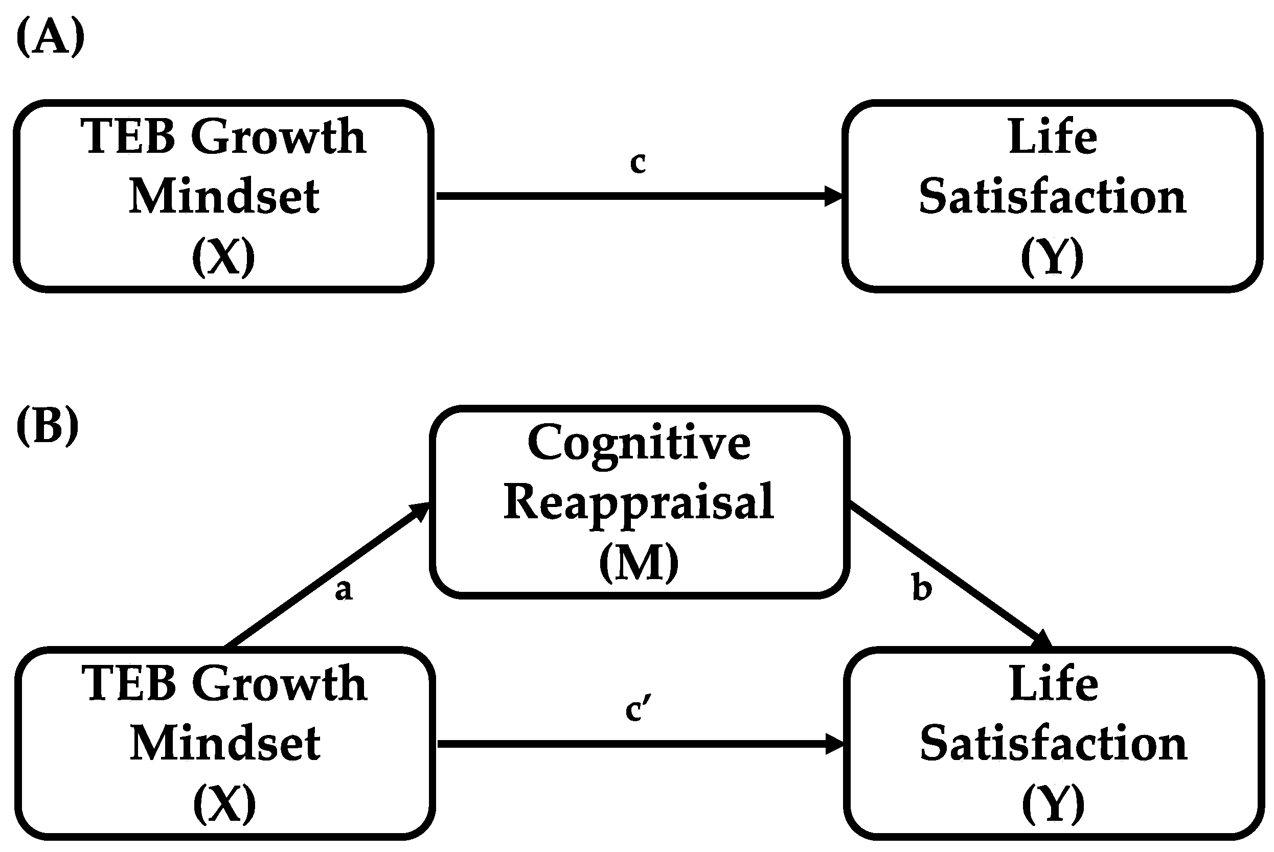 Healthcare 13 02985 g001