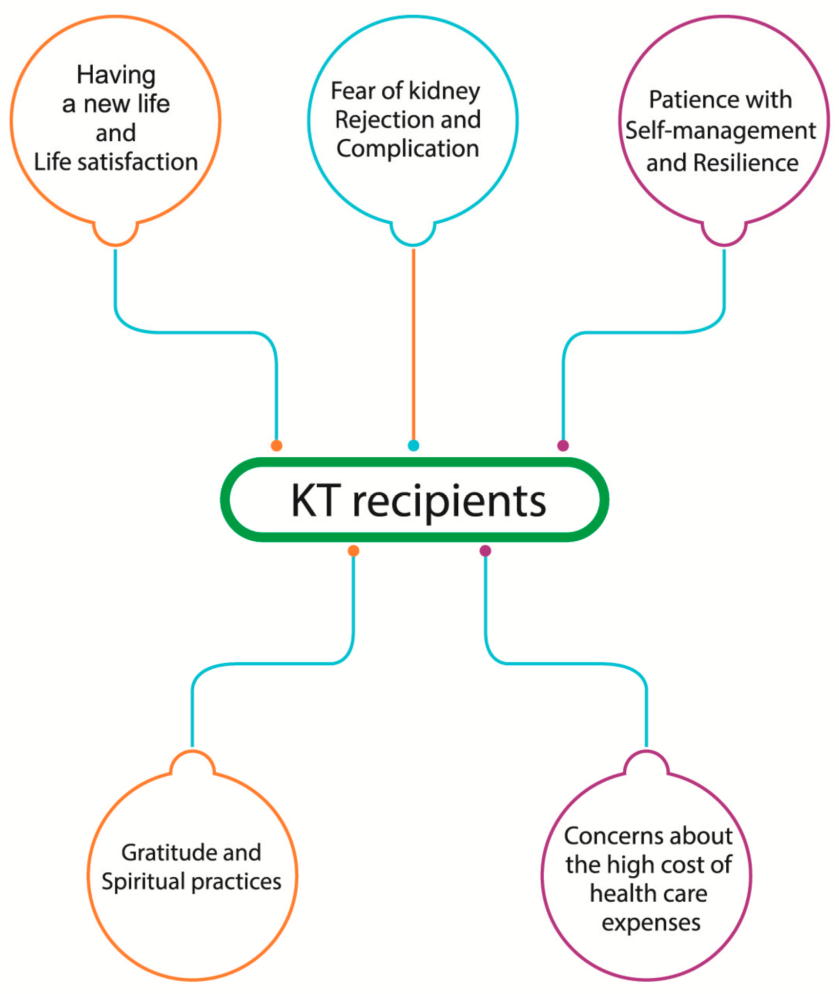 Healthcare 13 02986 g001