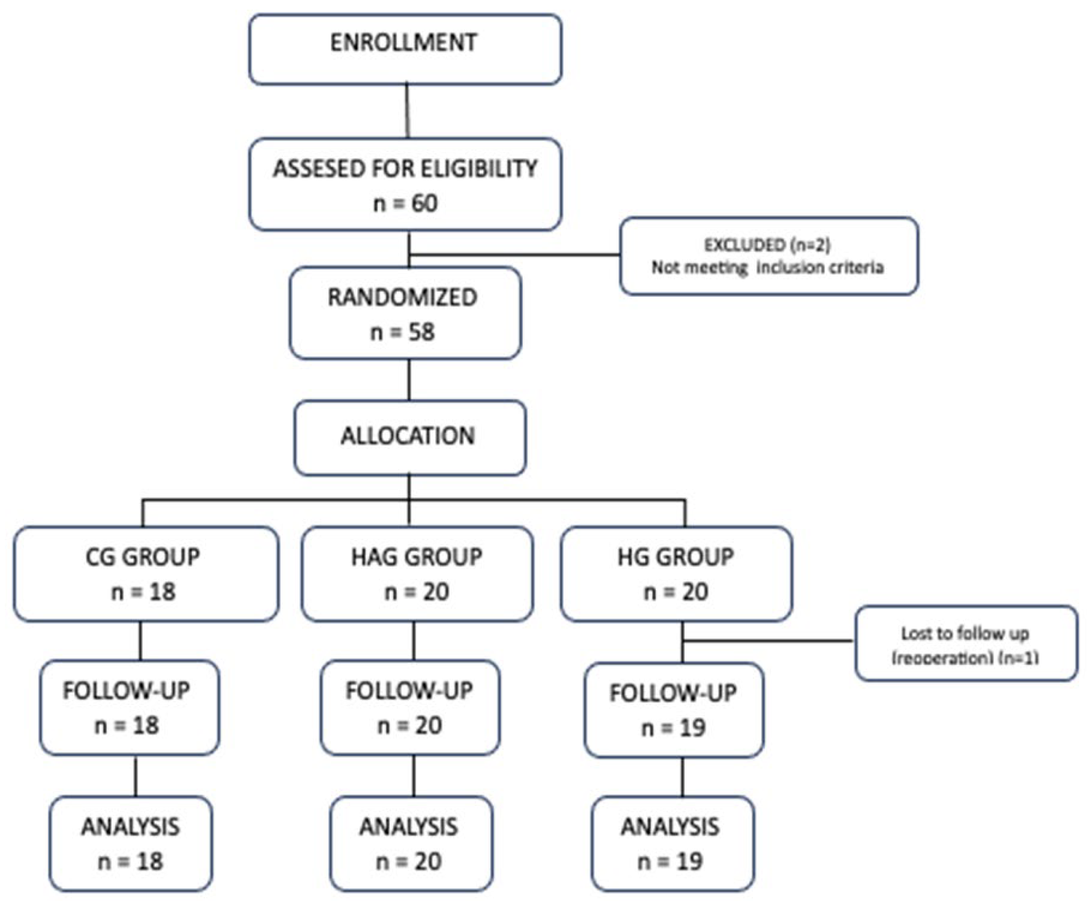 Healthcare 13 02992 g001